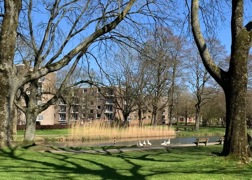 Image 30-03-2021 at 12.11.jpg