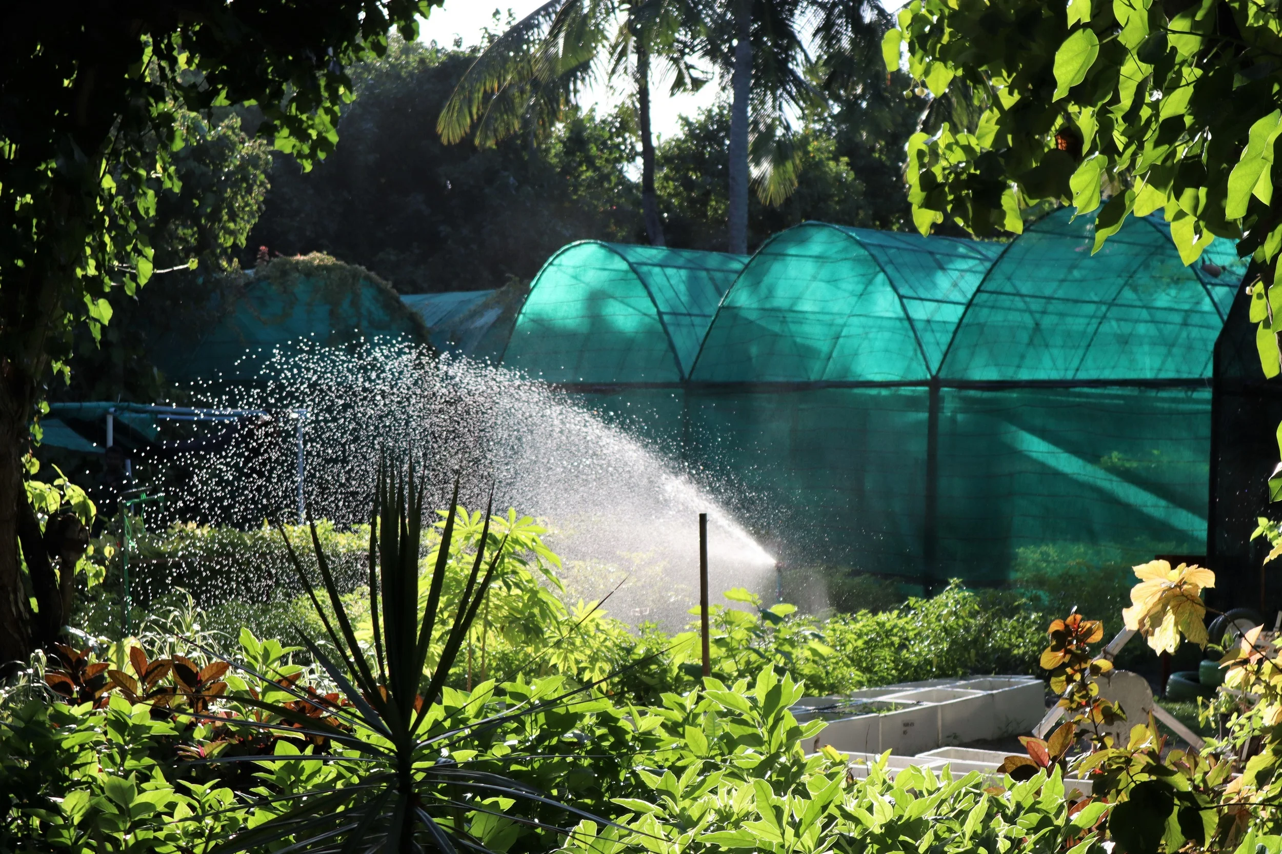 Discover our Secret Garden, a truly magical place