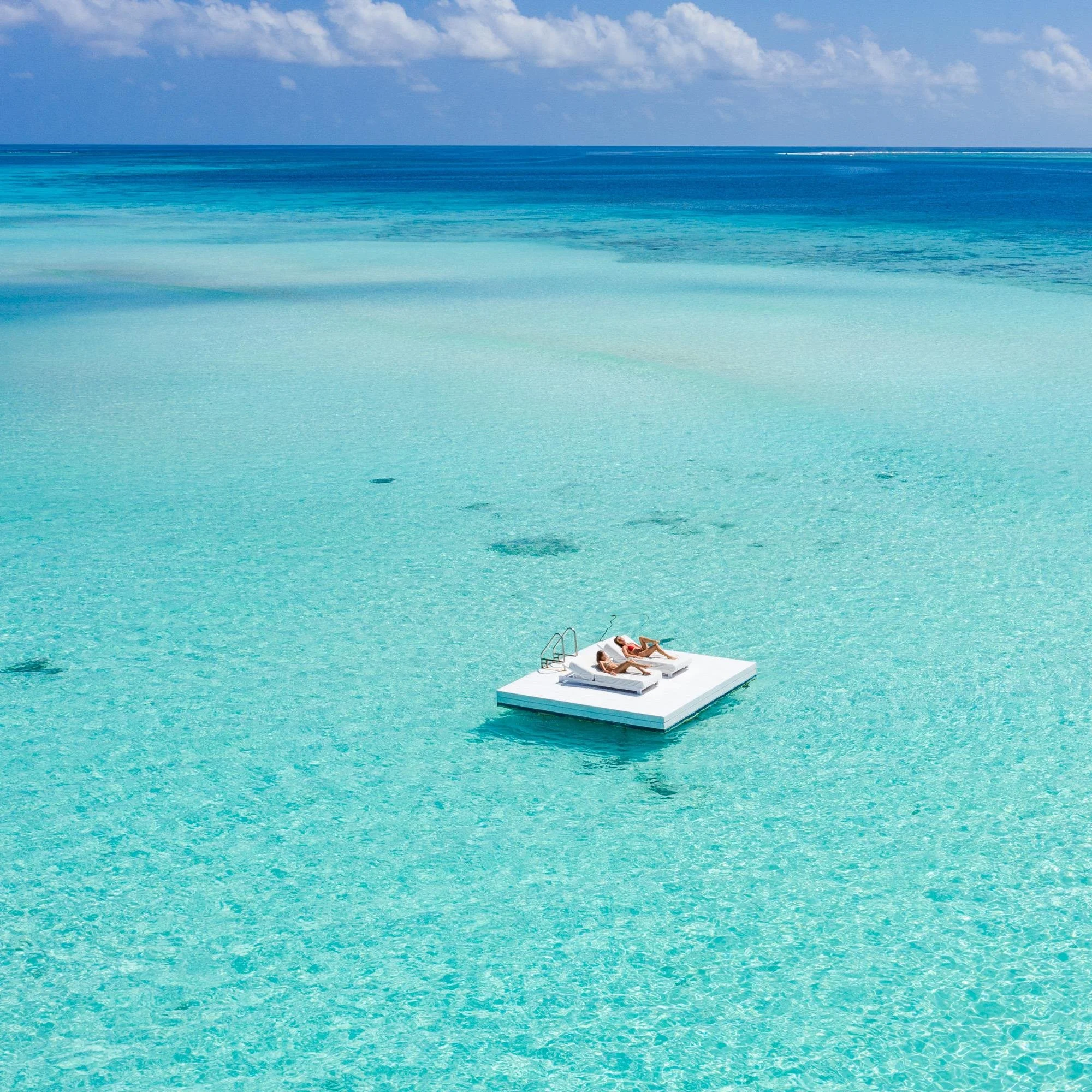 WhatsApp Image 2026-01-07 at 16.54.22.jpeg