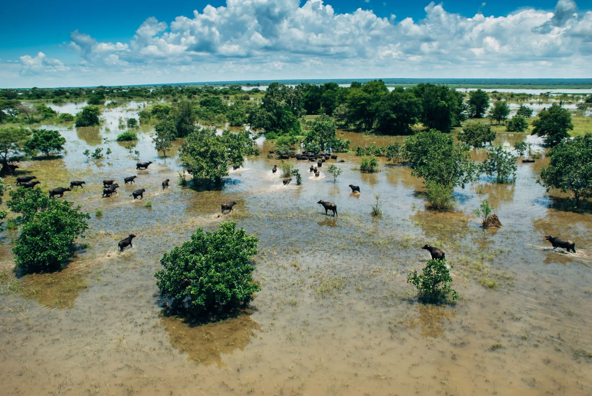 Floods 2008-105.jpg