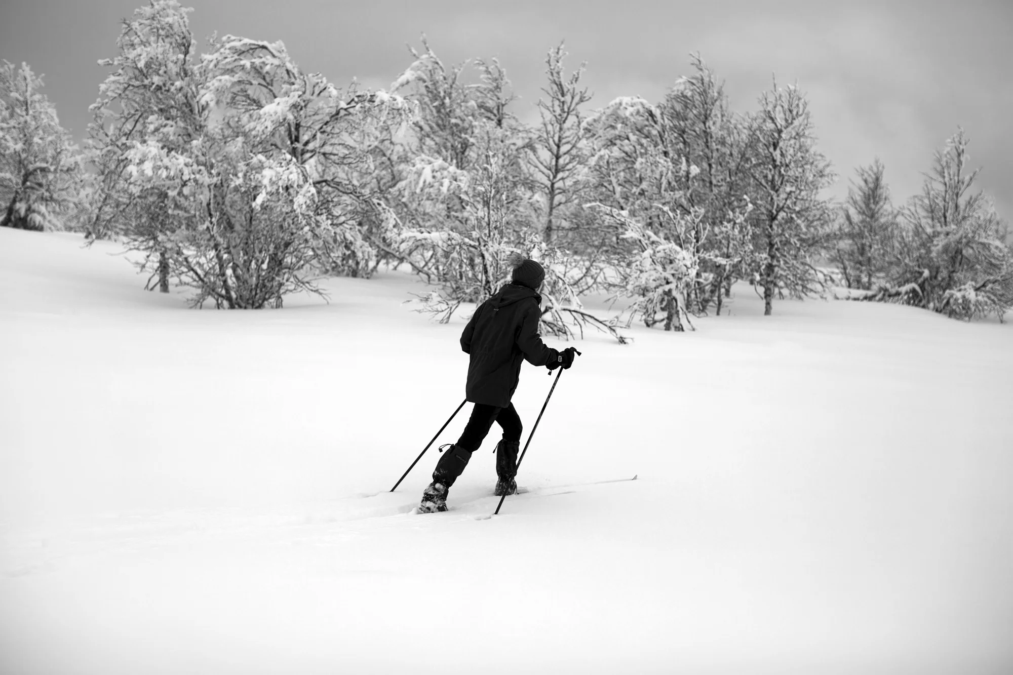 på ski.jpg