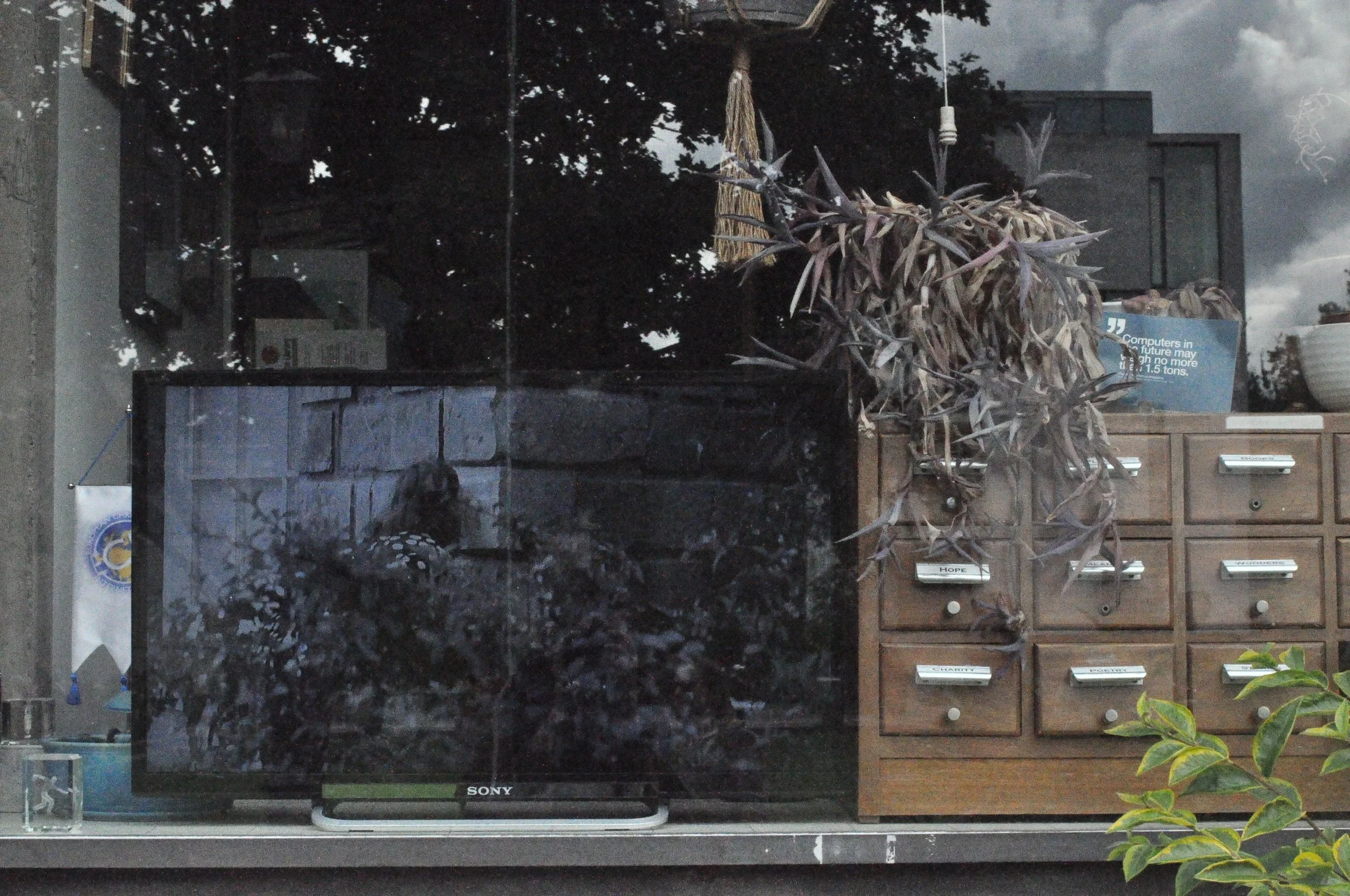   Ruth Clinton and Niamh Moriarty ,  Wound with a Tear . Installation view, Trinity College Dublin, The Douglas Hyde Gallery, Dublin. Courtesy the artists. 