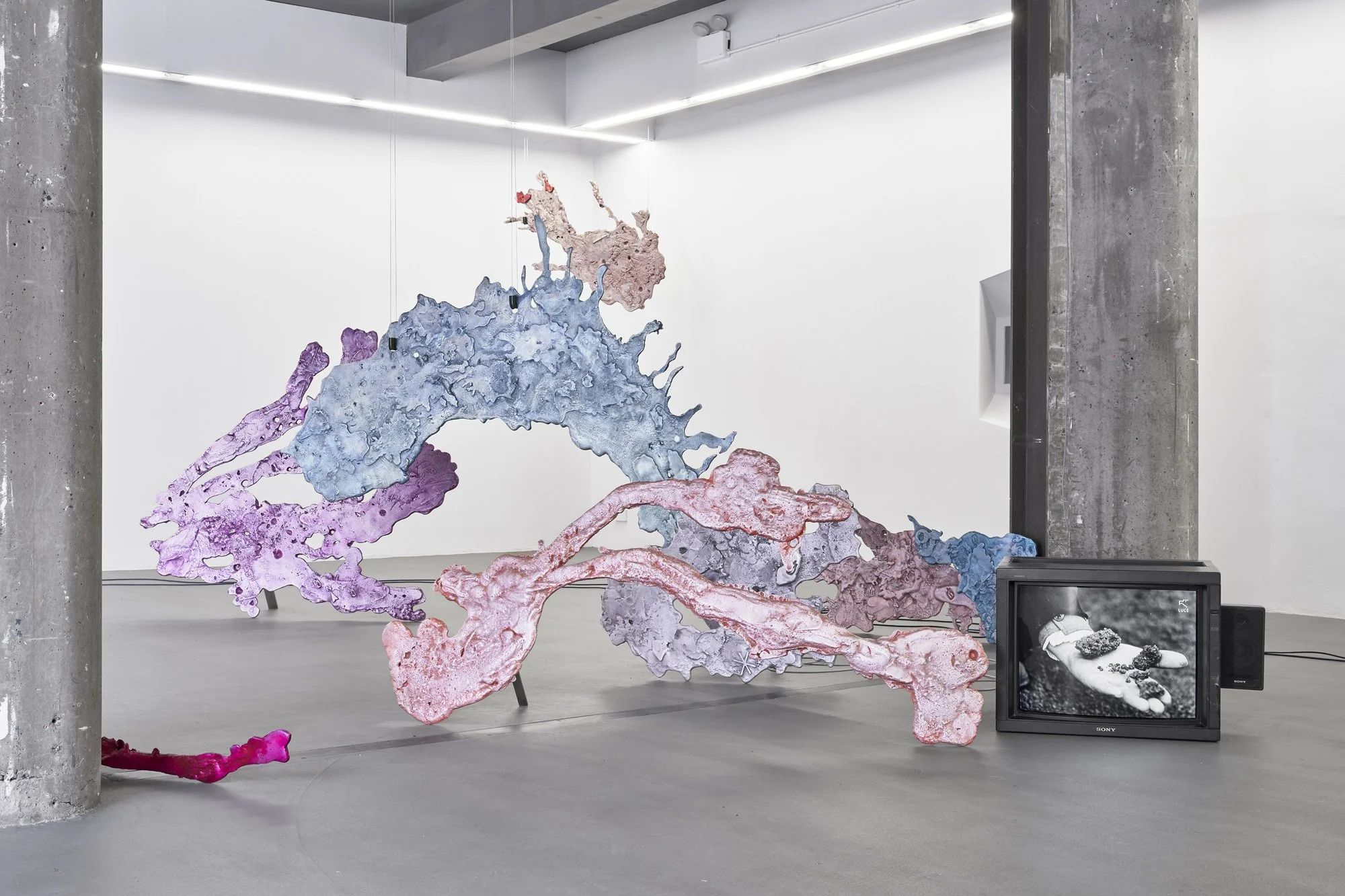   Rebecca Moccia ,&nbsp; Nostalgism.  Installation view, Temple Bar Gallery + Studios, Dublin. Photograph by Ros Kavanagh. 