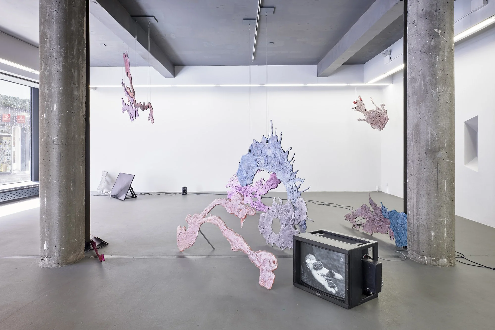   Rebecca Moccia ,&nbsp; Nostalgism.  Installation view, Temple Bar Gallery + Studios, Dublin. Photograph by Ros Kavanagh. 