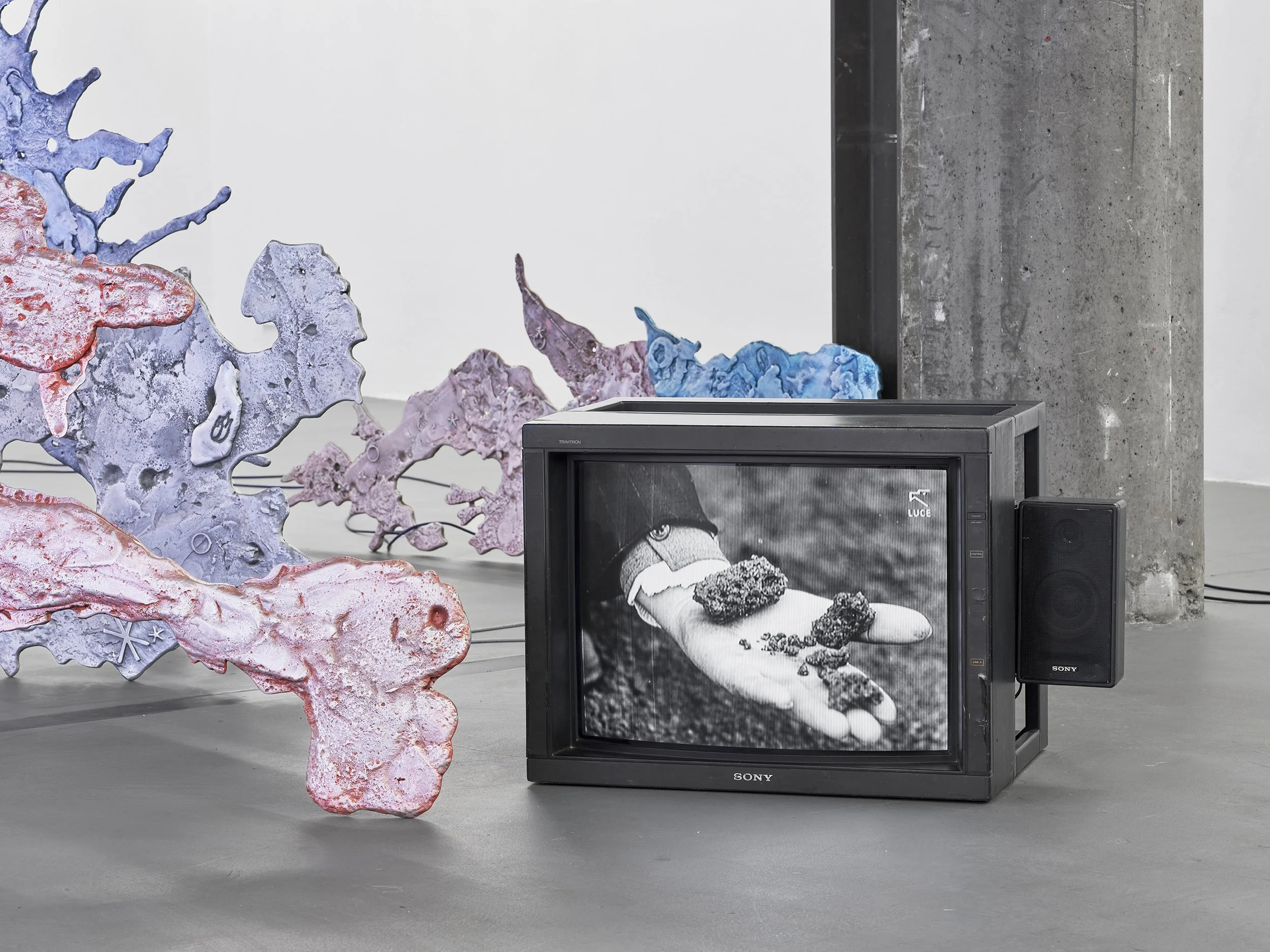   Rebecca Moccia ,&nbsp; Nostalgism.  Installation view, Temple Bar Gallery + Studios, Dublin. Photograph by Ros Kavanagh. 