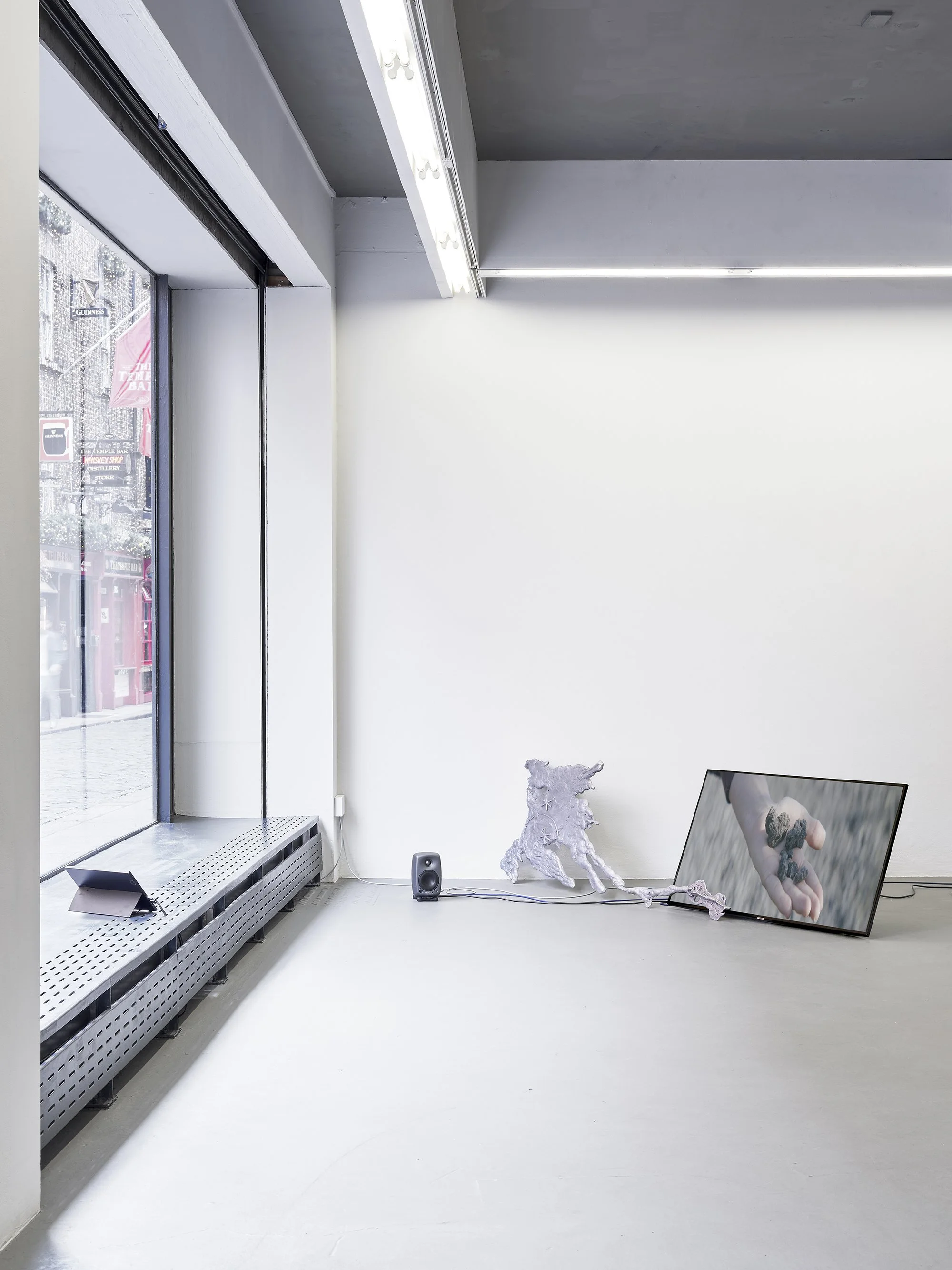   Rebecca Moccia ,&nbsp; Nostalgism.  Installation view, Temple Bar Gallery + Studios, Dublin. Photograph by Ros Kavanagh. 