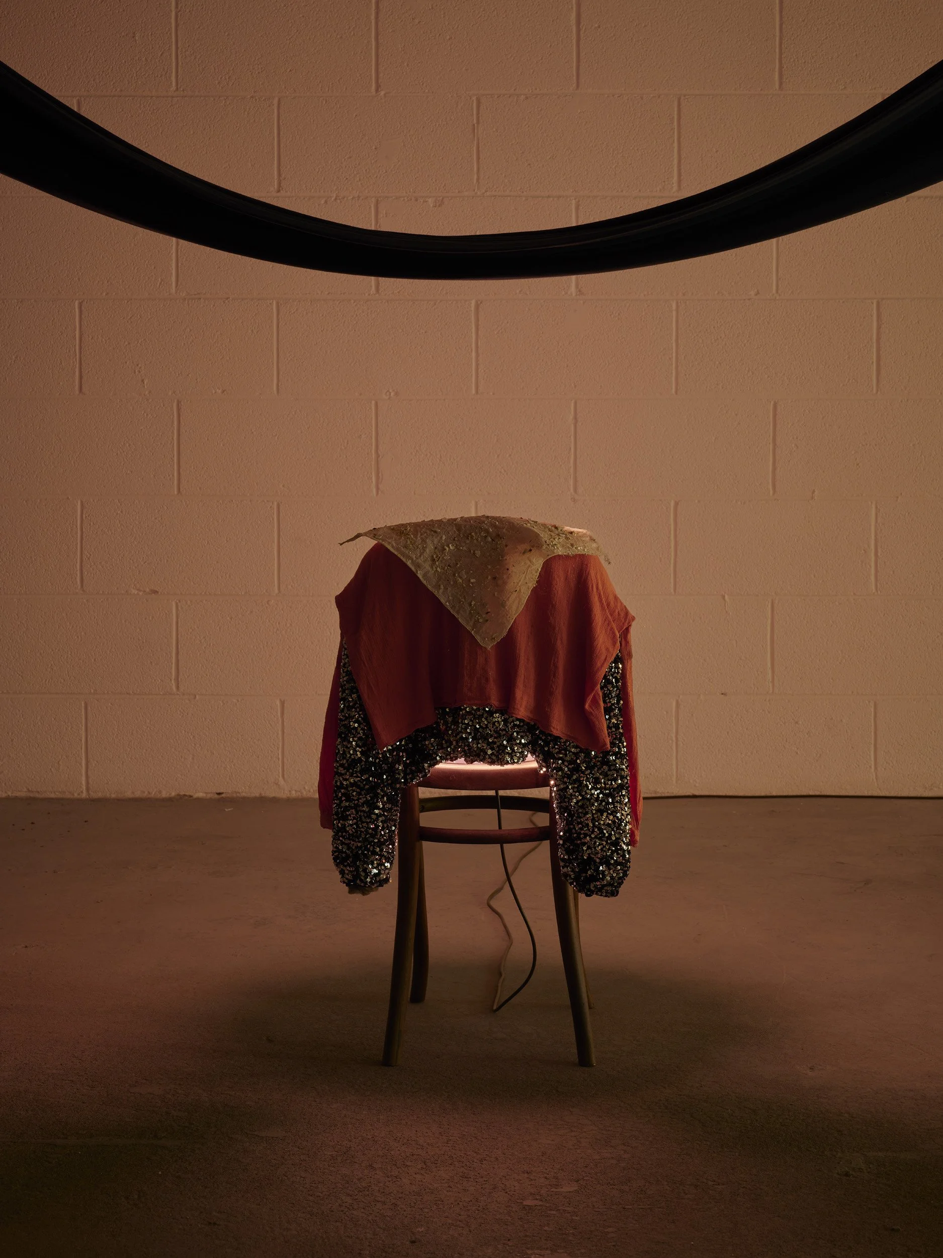  Aleana Egan ,  home and the world , 2026 (detail). Chair, light, dyed jersey cotton, MDF, clothes, shell, glue, marine ballast, dimensions variable. Installation view, Interface, Inagh. Courtesy of the artist and Kerlin Gallery. Photograph by Ros K