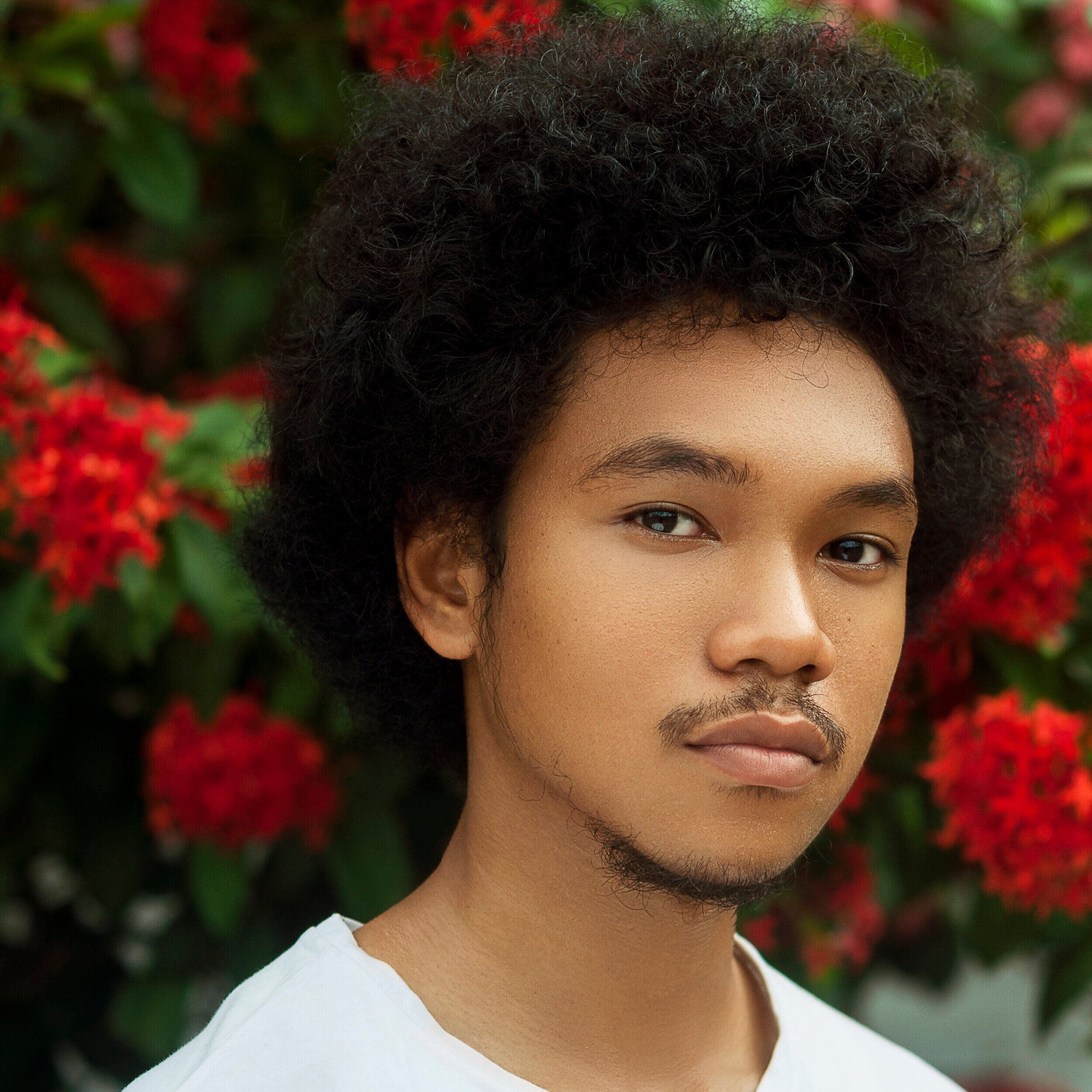 South Korean | Nigerian