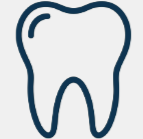 Outline of a human molar tooth.