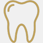 Outline of a molar tooth