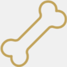 Outline of a dog bone.