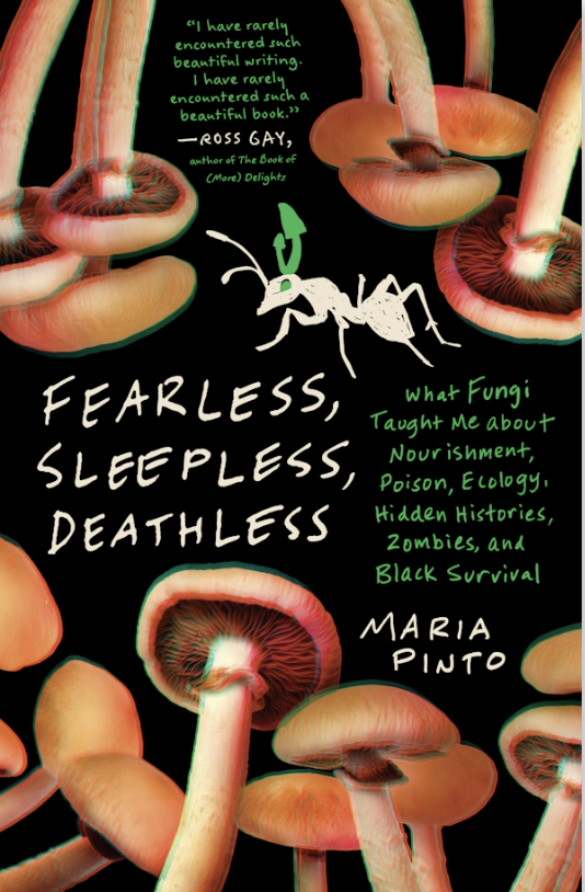 Book Review: Fearless, Sleepless, Deathless by Maria Pinto