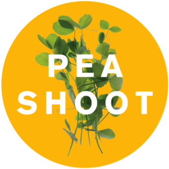 Pea Shoot 