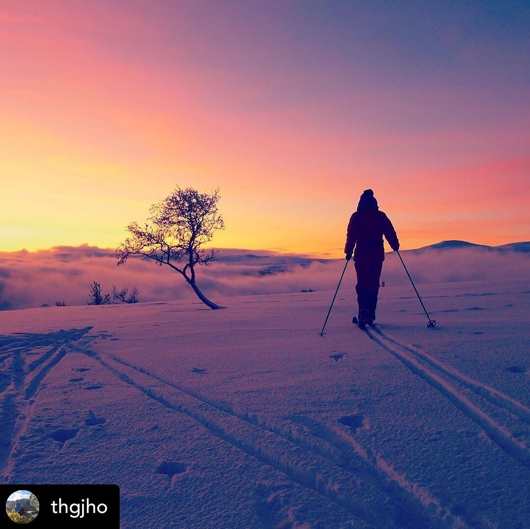 Skal hilse fra fjellet! En fredfull juleh&oslash;ytid og et riktig godt nytt &aring;r &oslash;nskes alle!🎄✨
 
📸 Repost fra @thgjho sin romjulstur i Lesjafjella. Magisk m&oslash;te med fjellet ved soloppgang 😍

#visitlesja #turilesja #fjelltid #nas