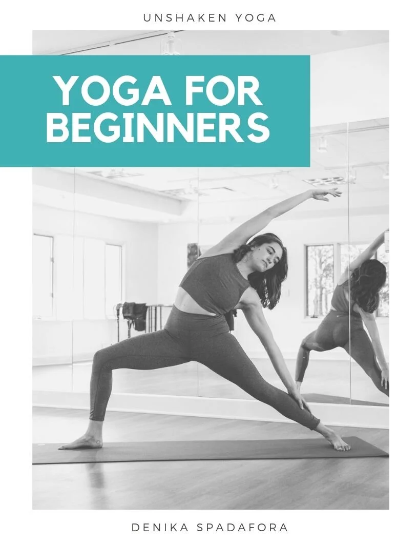 Beginner Guide.jpg