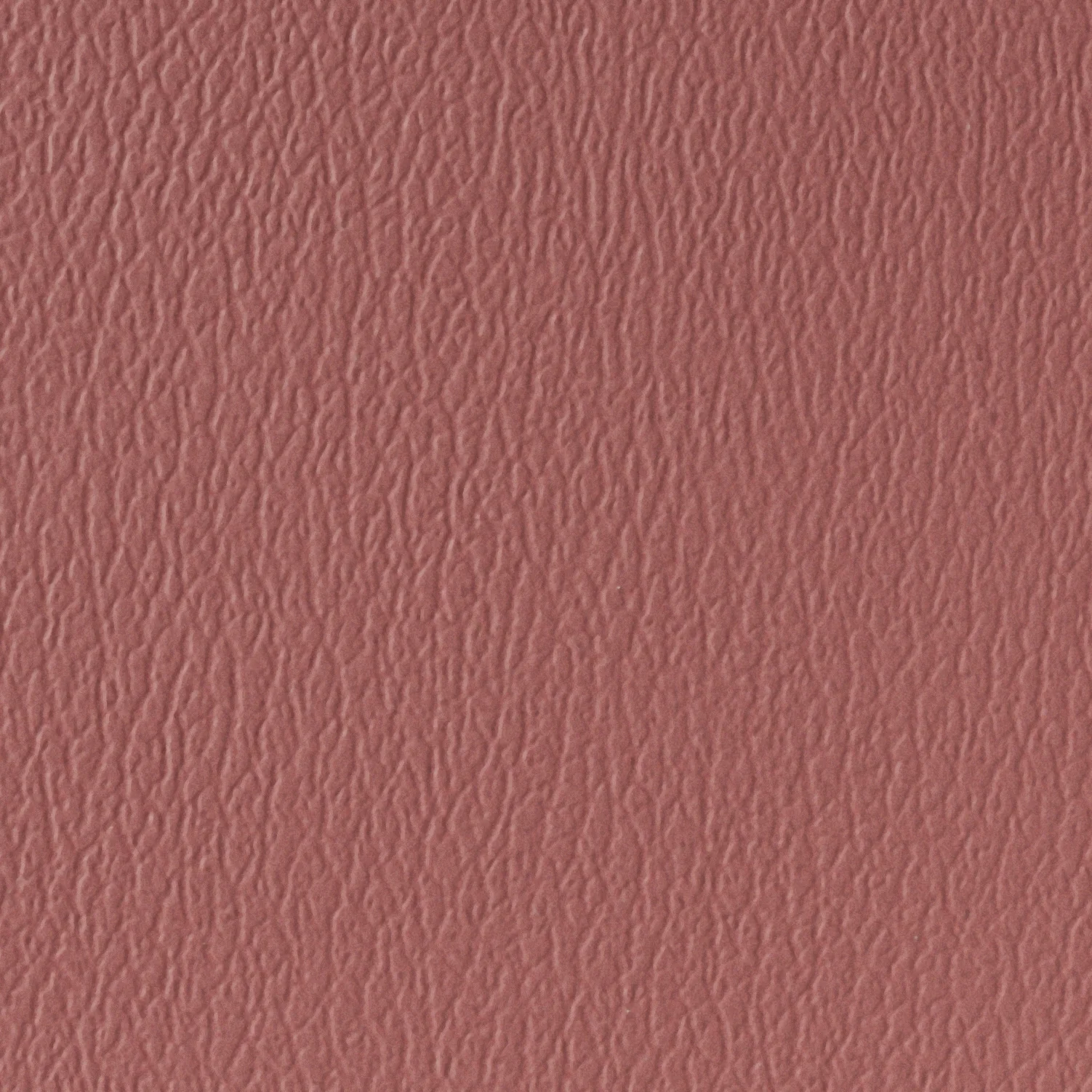 TEA ROSE AM-61