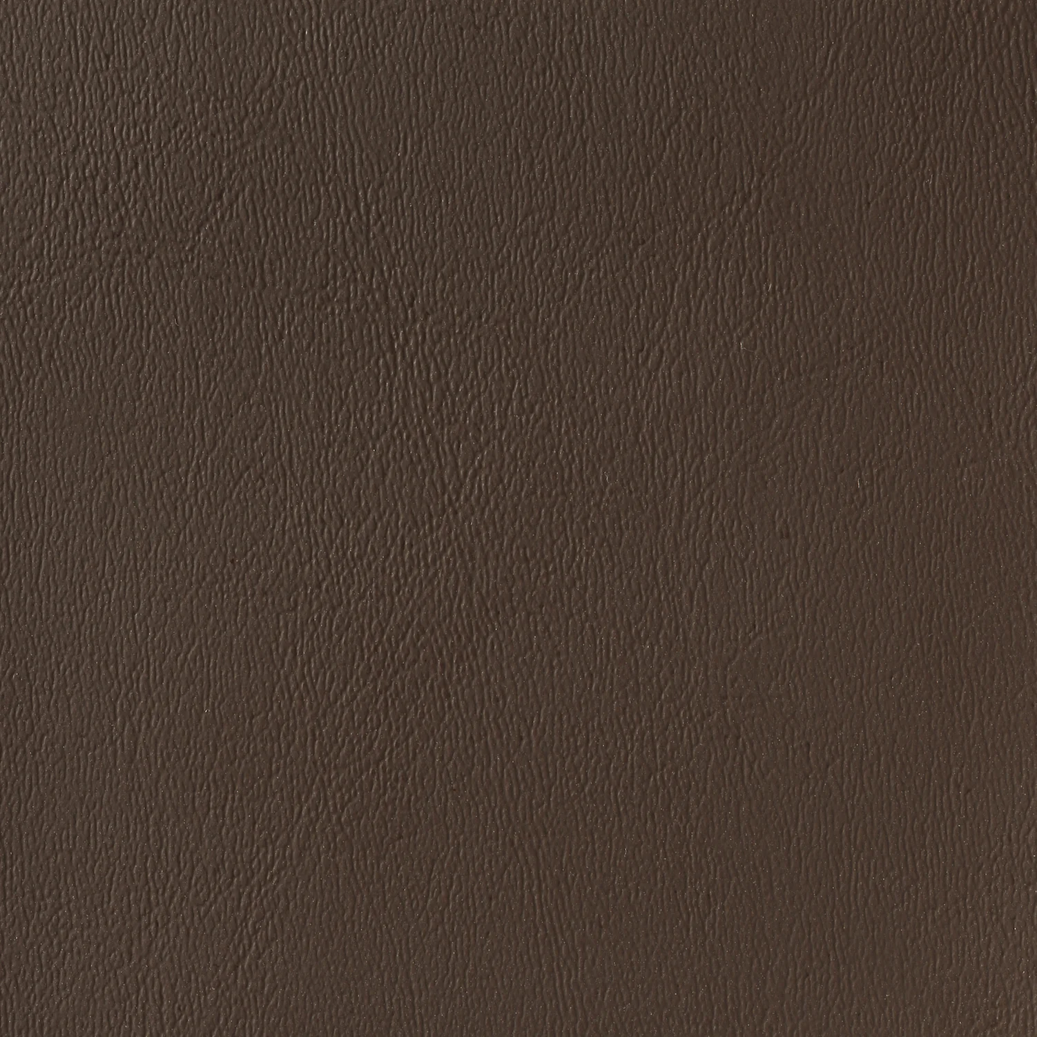 BAJA BROWN CY-08