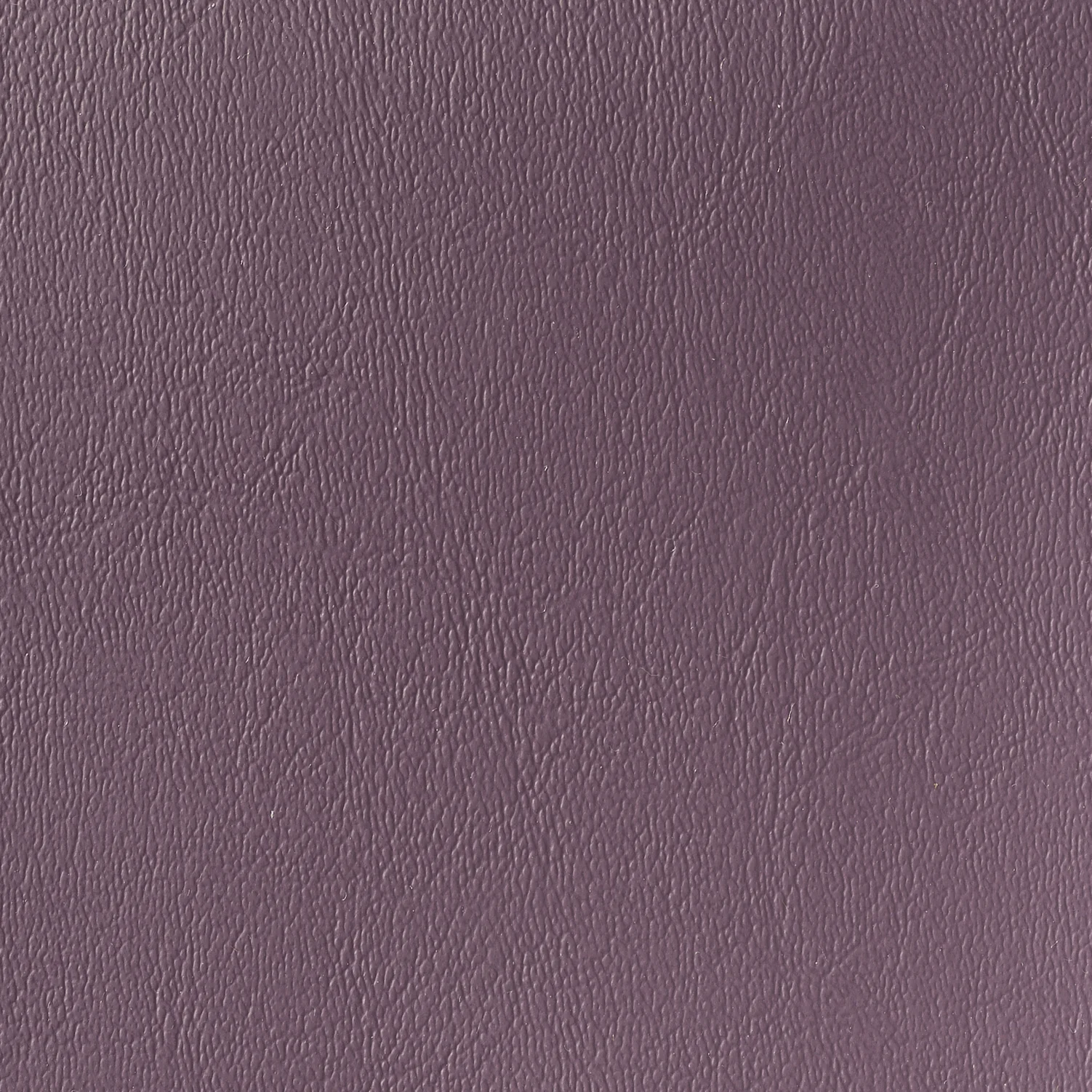 WOOD VIOLET CY-33