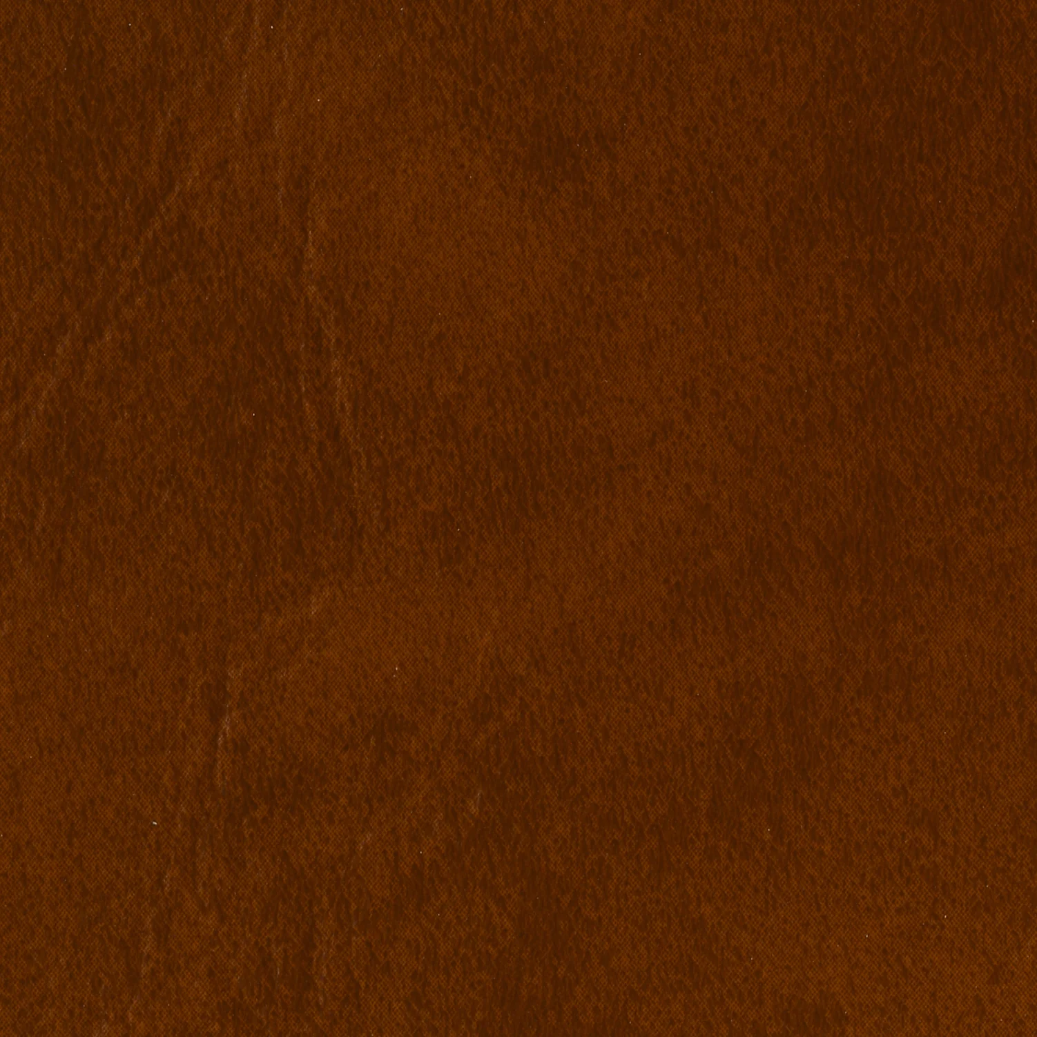 PECAN EX-258
