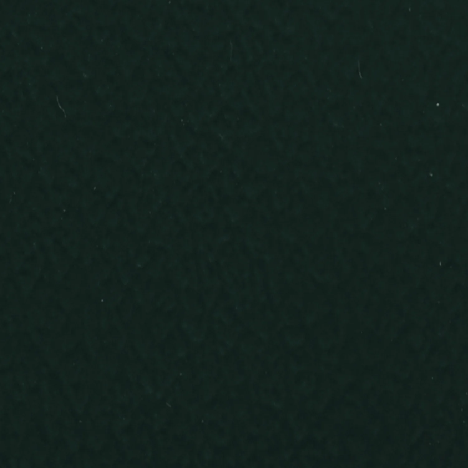 FOREST XL-2086