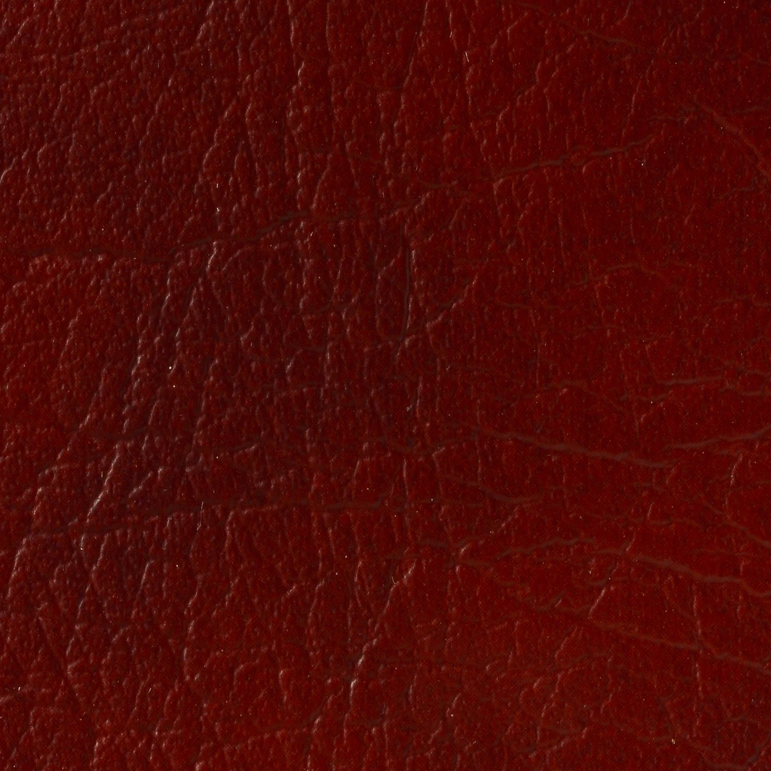 MAROON OX-26