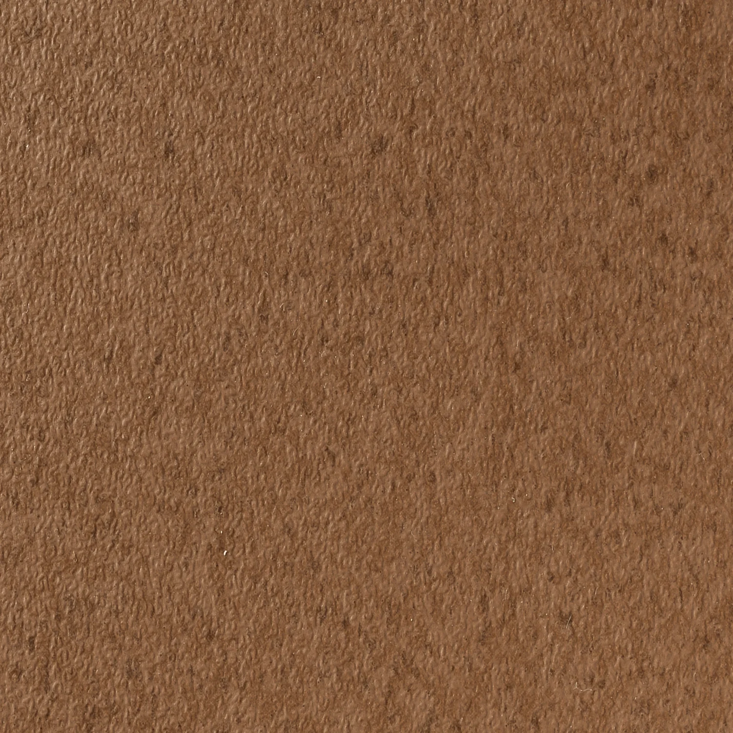 PECAN TL-62