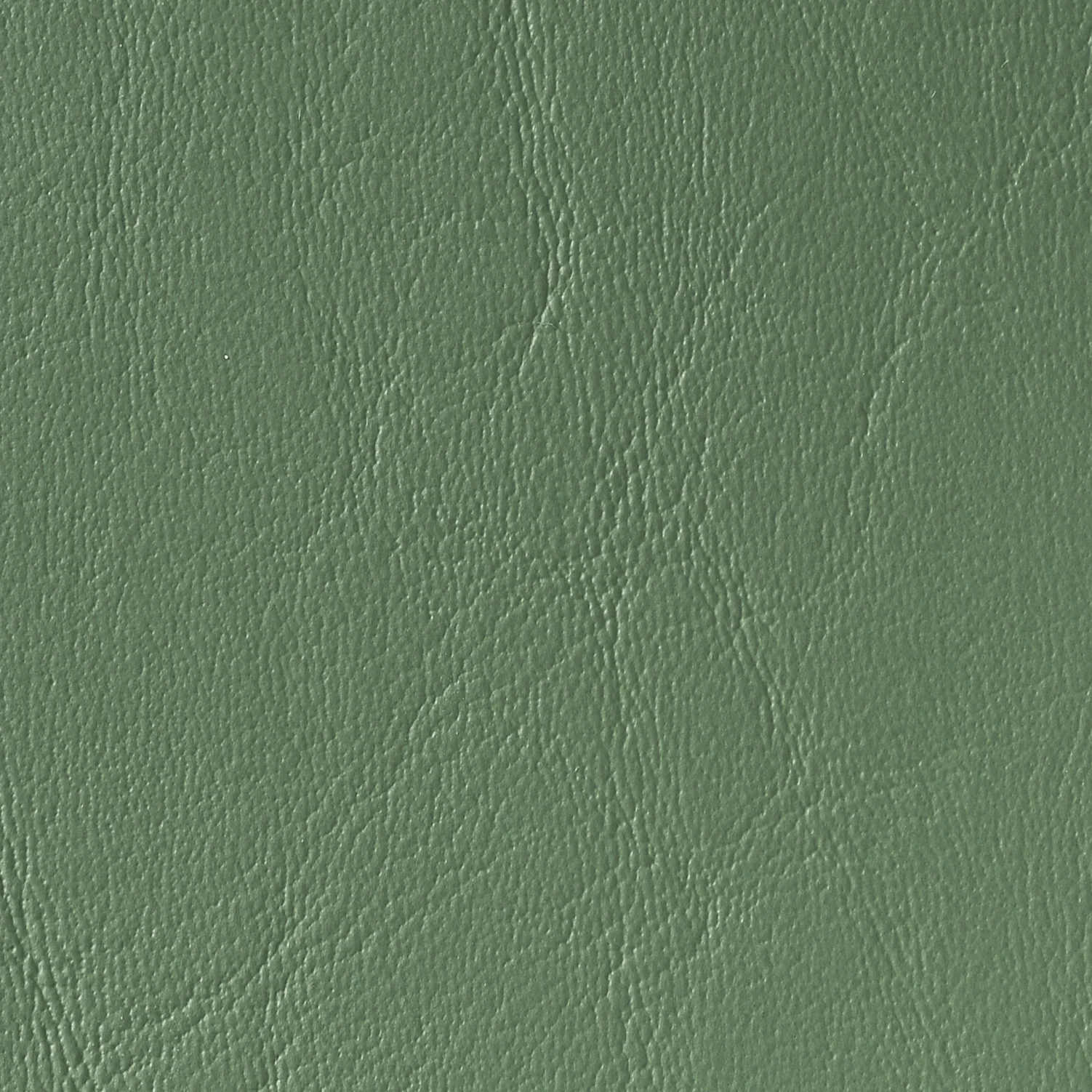 FRENCH GREEN MT-26