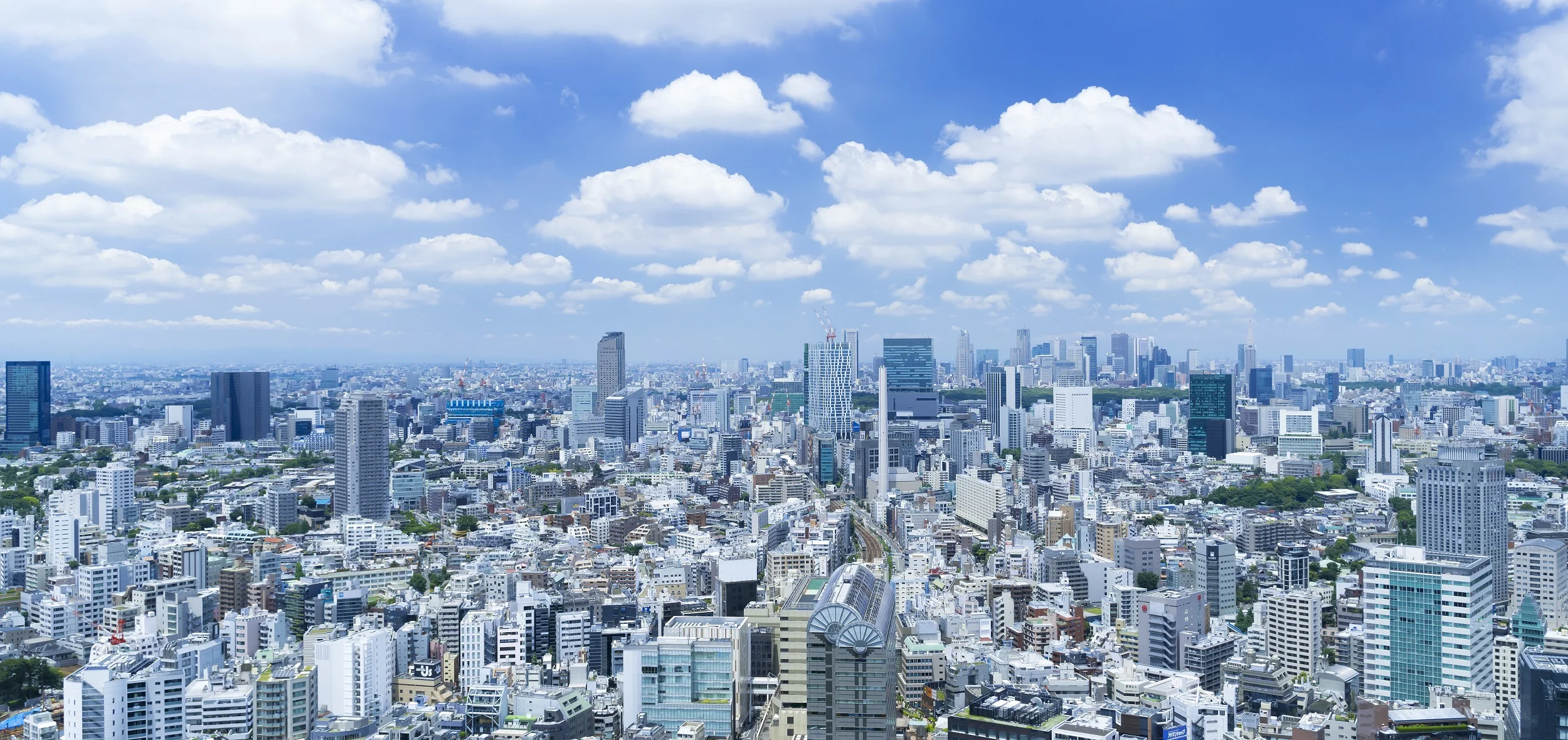 AdobeStock_210544682 - コピー.jpeg