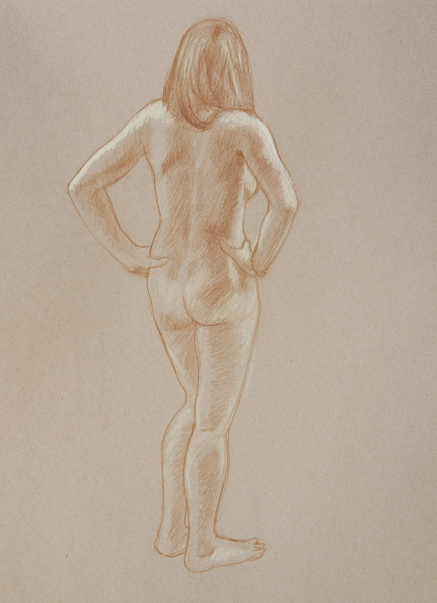 conte on toned paper A2