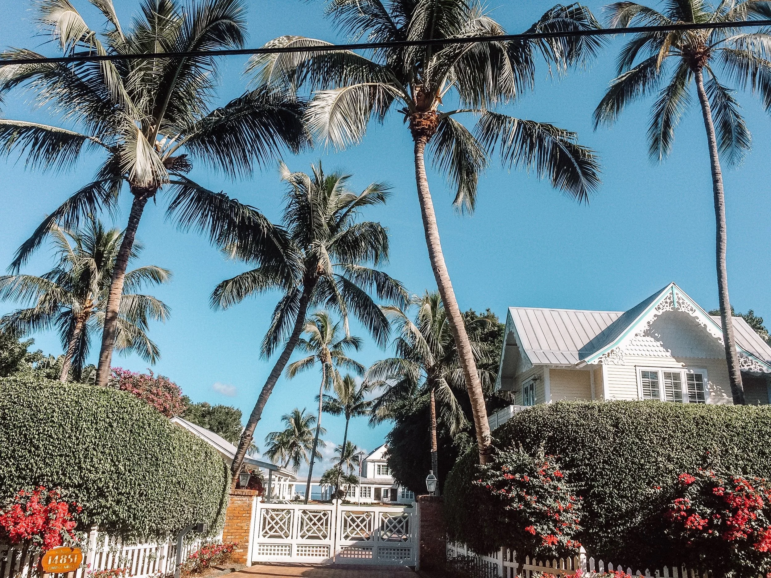 Sanibel 5.jpg