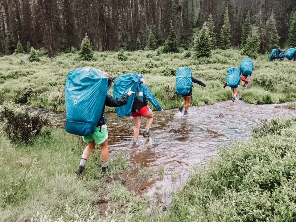 Wilderness 4.jpg