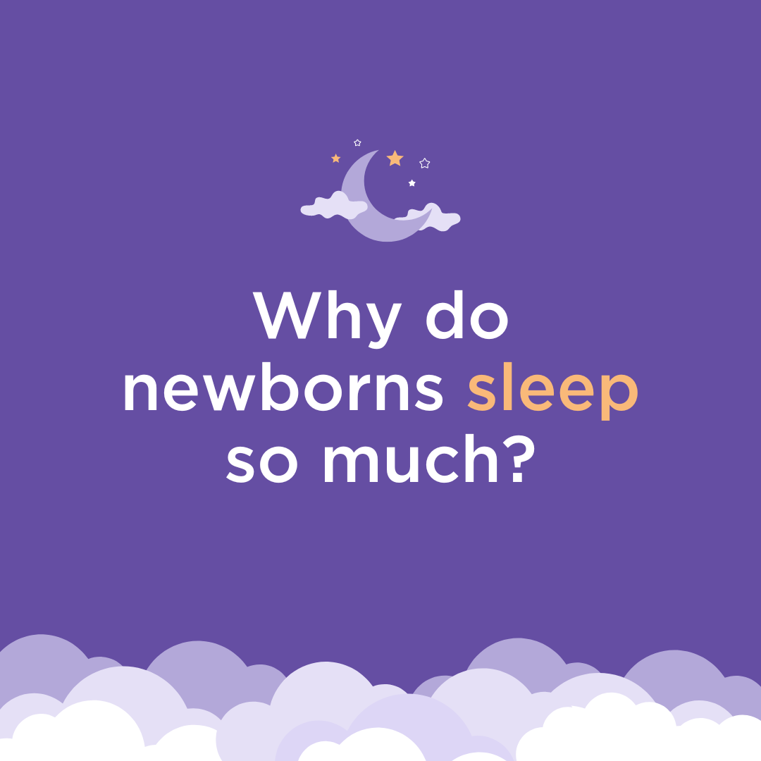 Why do newborn sleep so much.png
