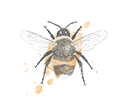Bumble bee illustration - sRGB@0,25x.png