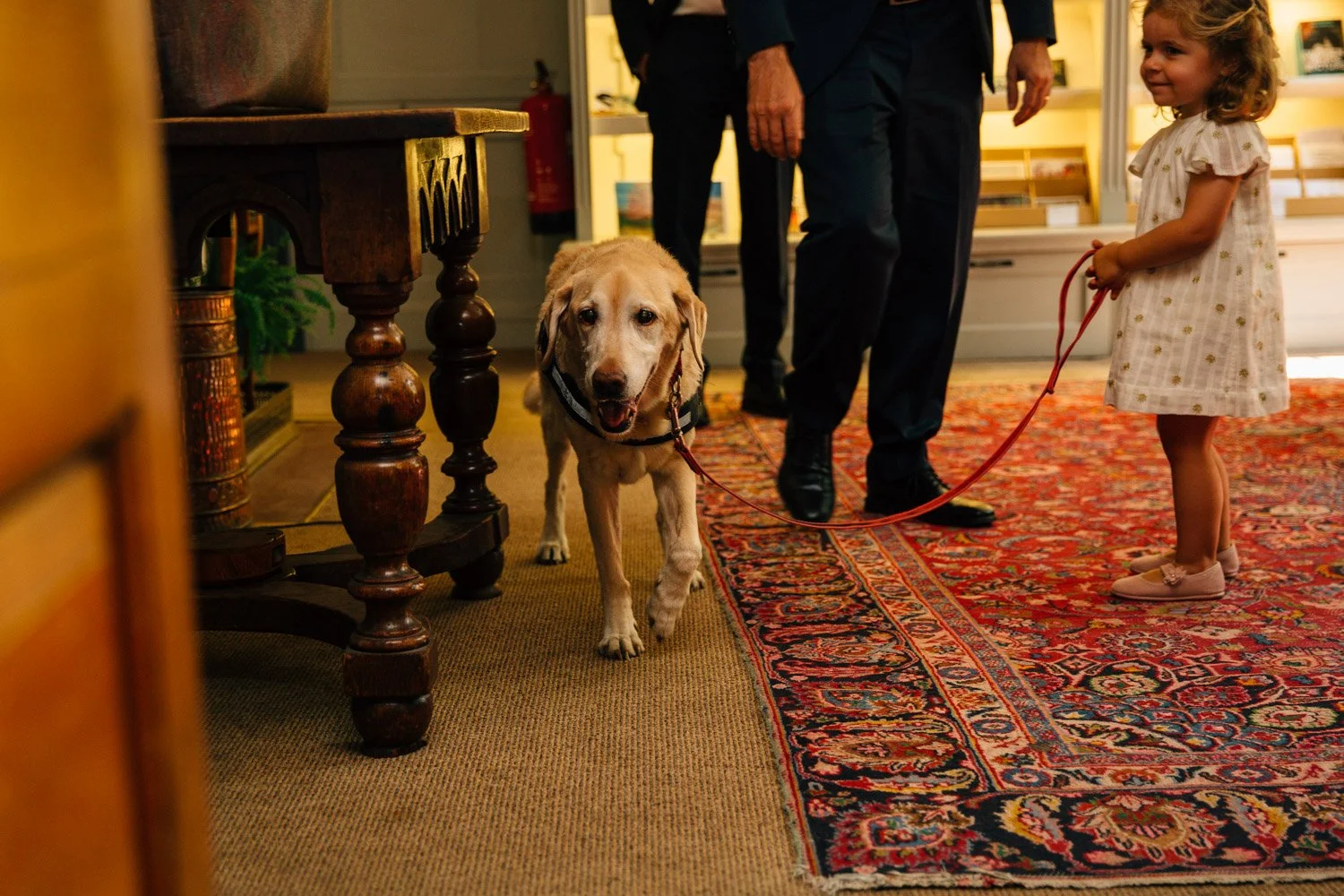 Wedding guests with their dog inside historic Burgh House in Hampstead