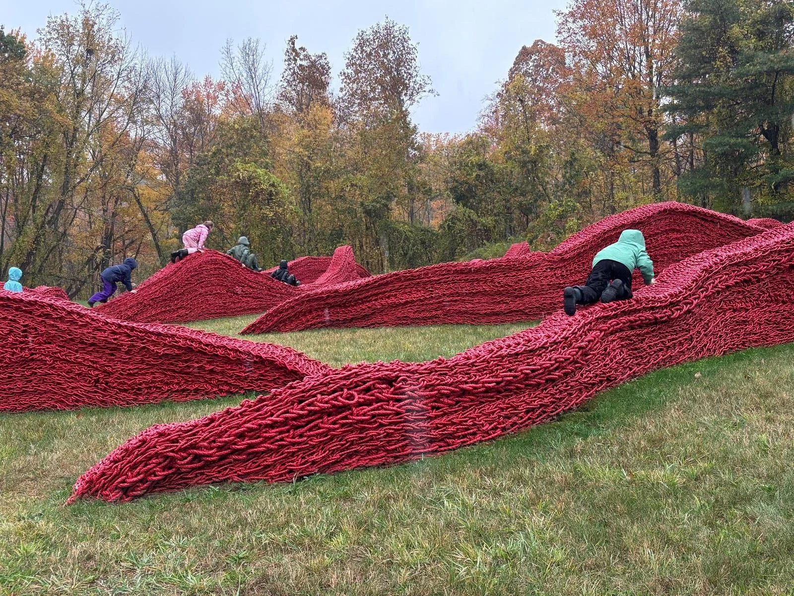 Field Trip to Alnoba