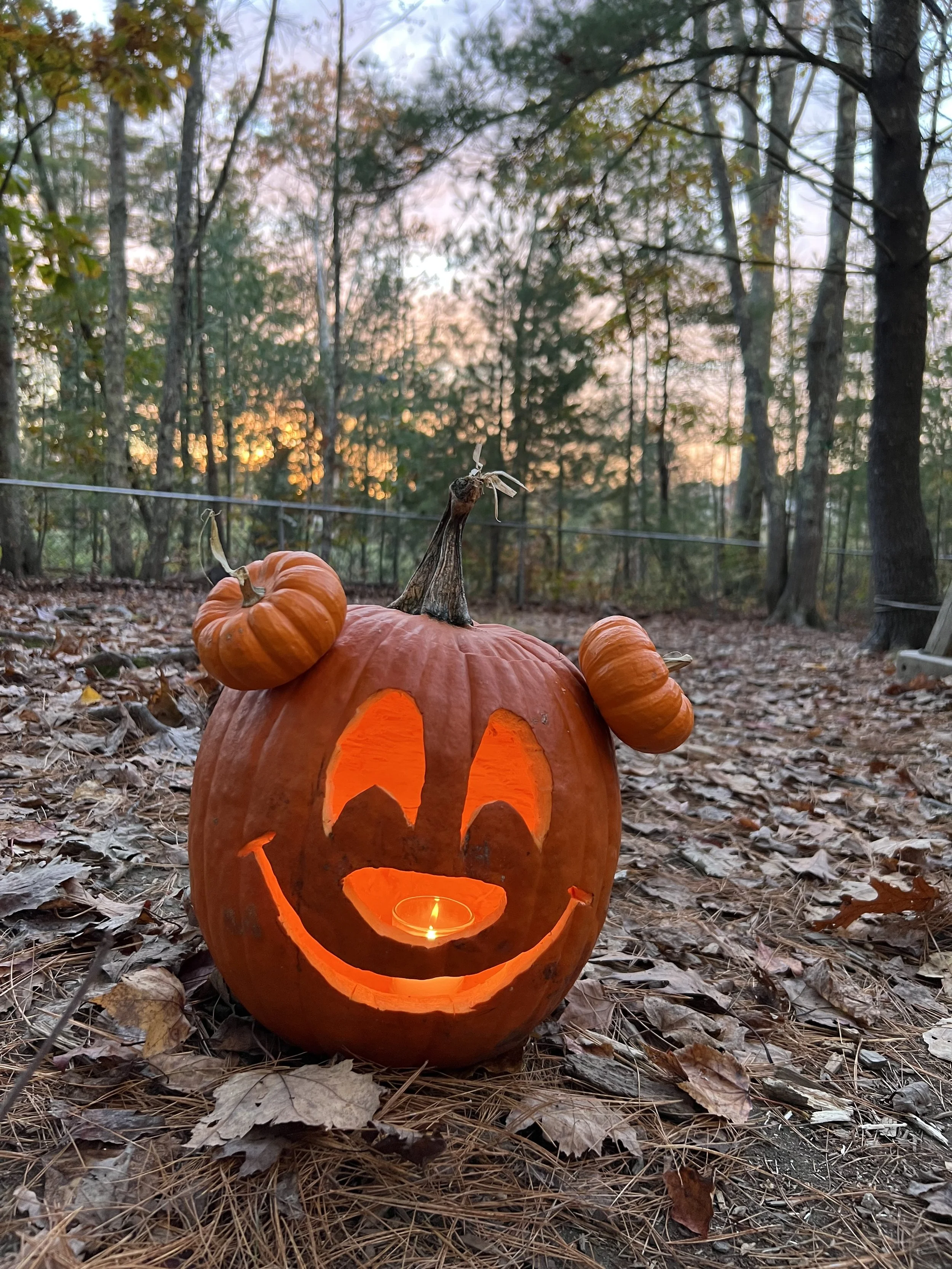 Brixham's Annual Pumpkin Stroll