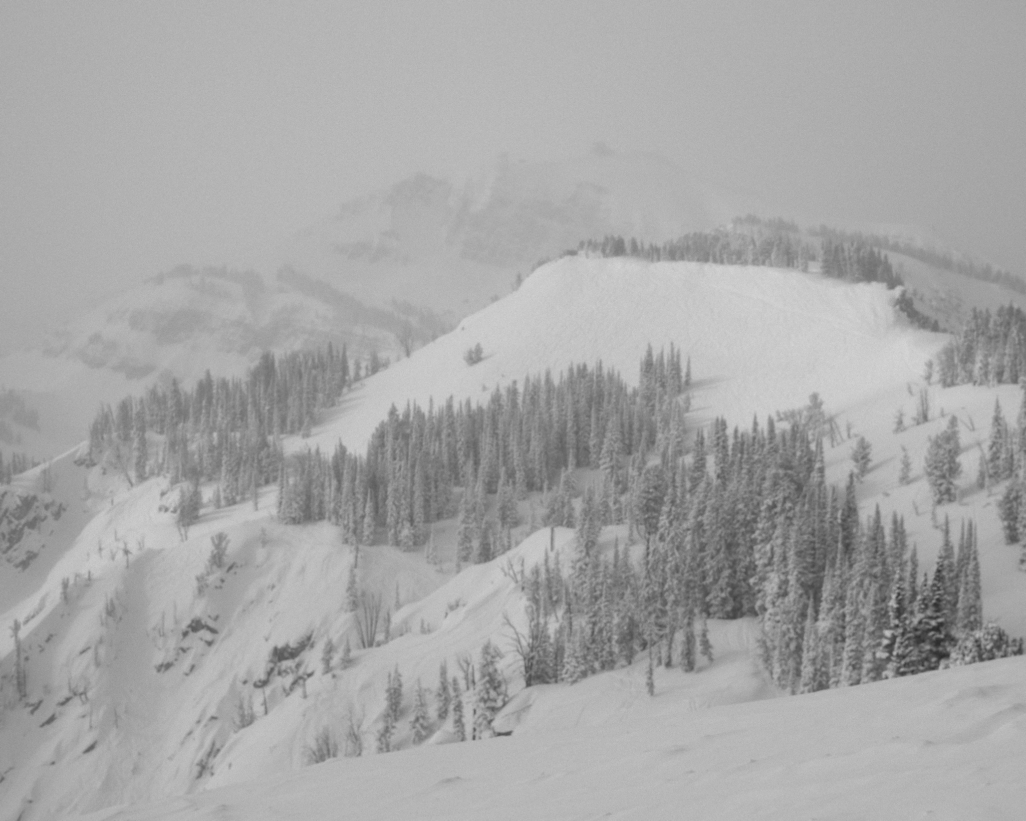 Snow-covered mountain landscape with trees