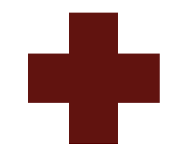 Red Cross Icon