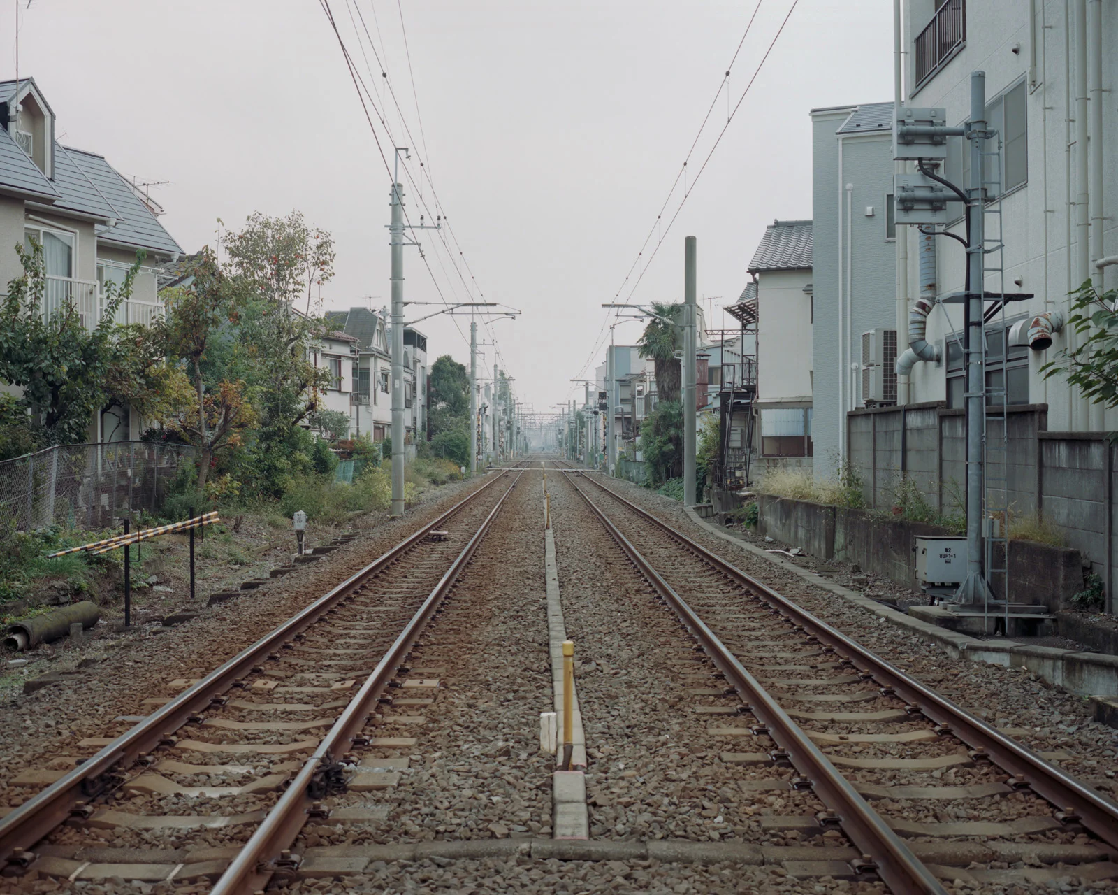 jpn_002.jpg