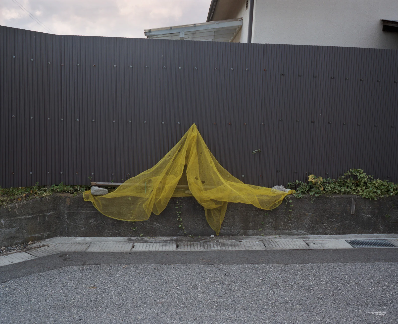 jpn_007.jpg