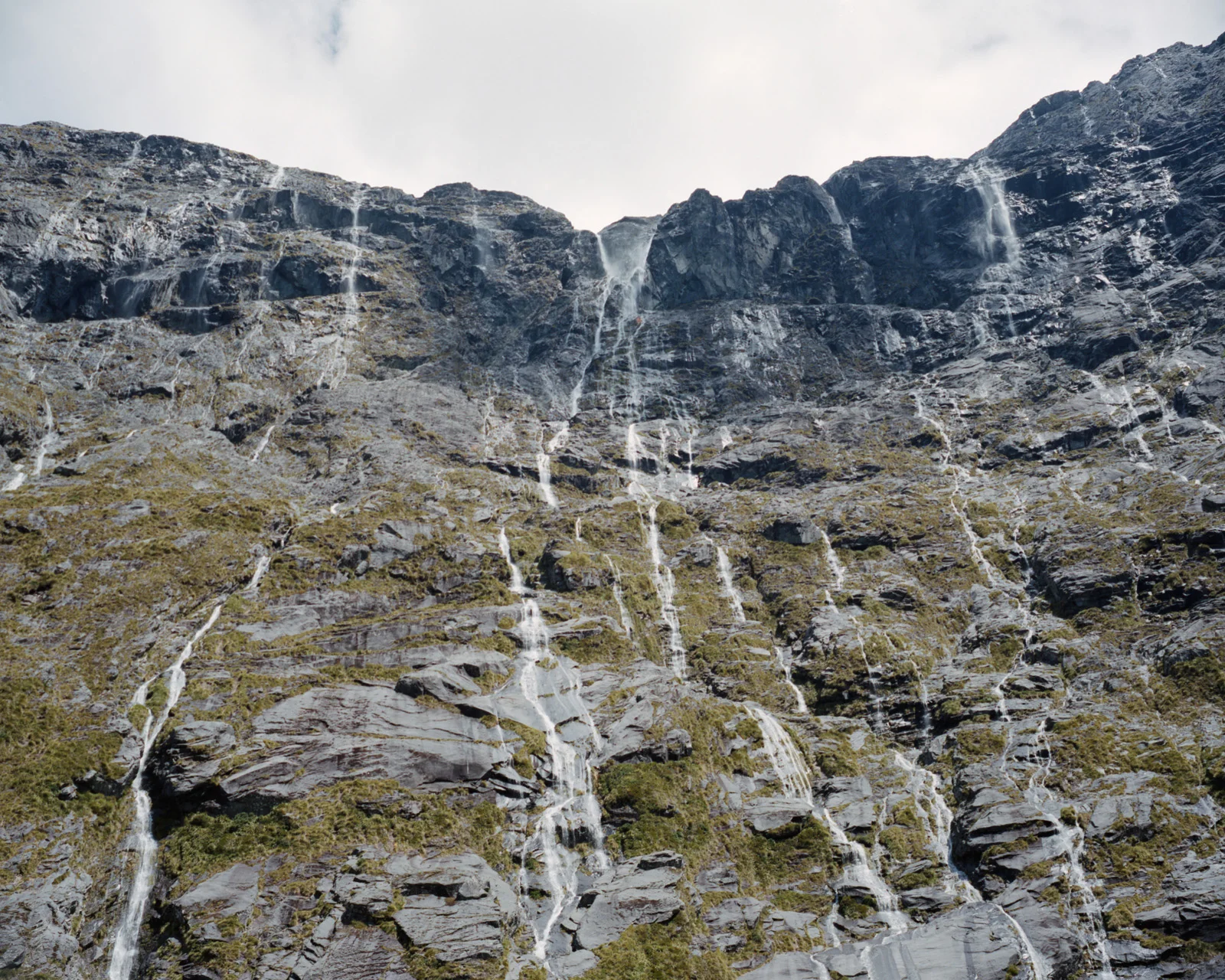 Fiordland