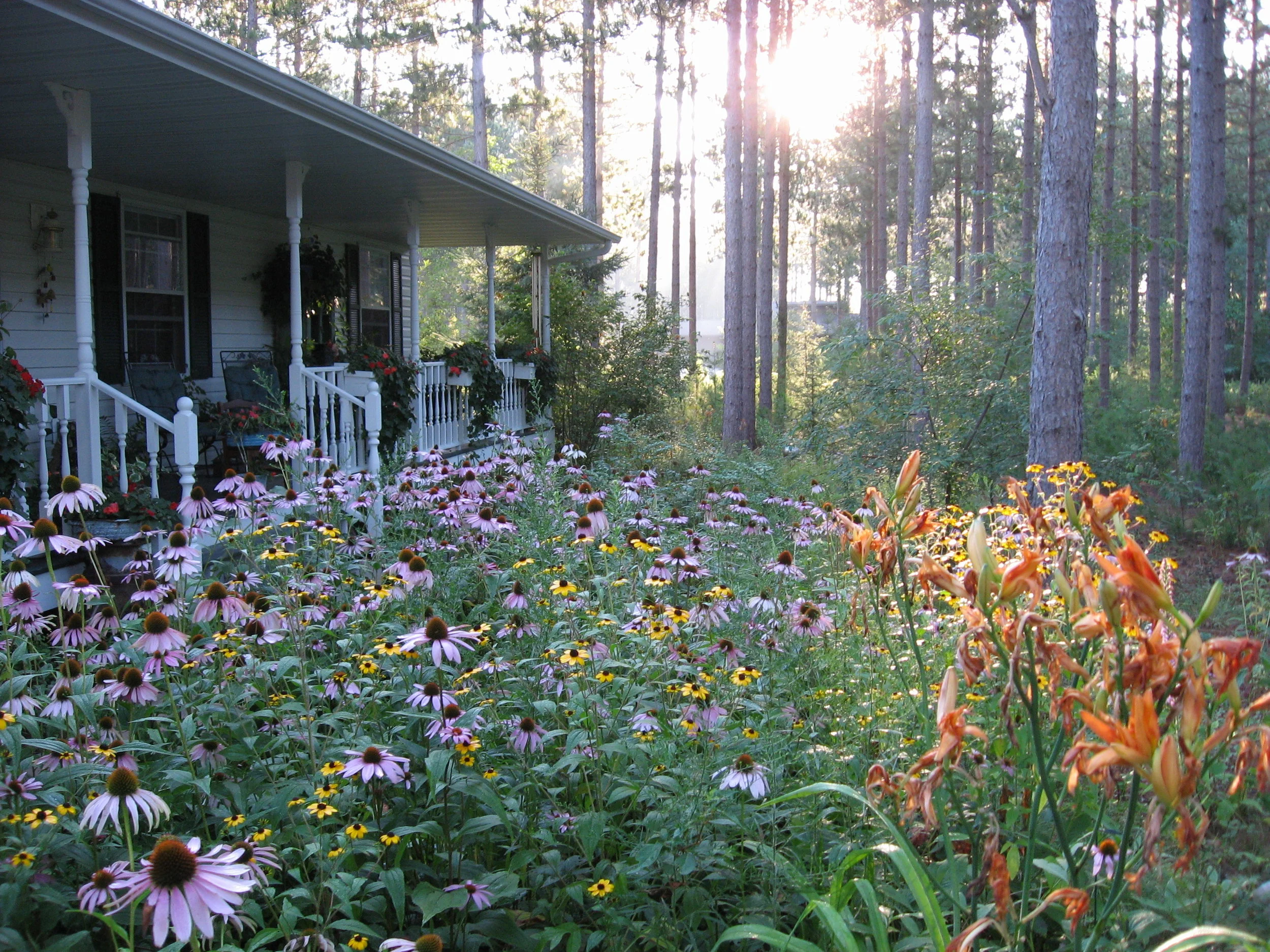 Cherish What Remains