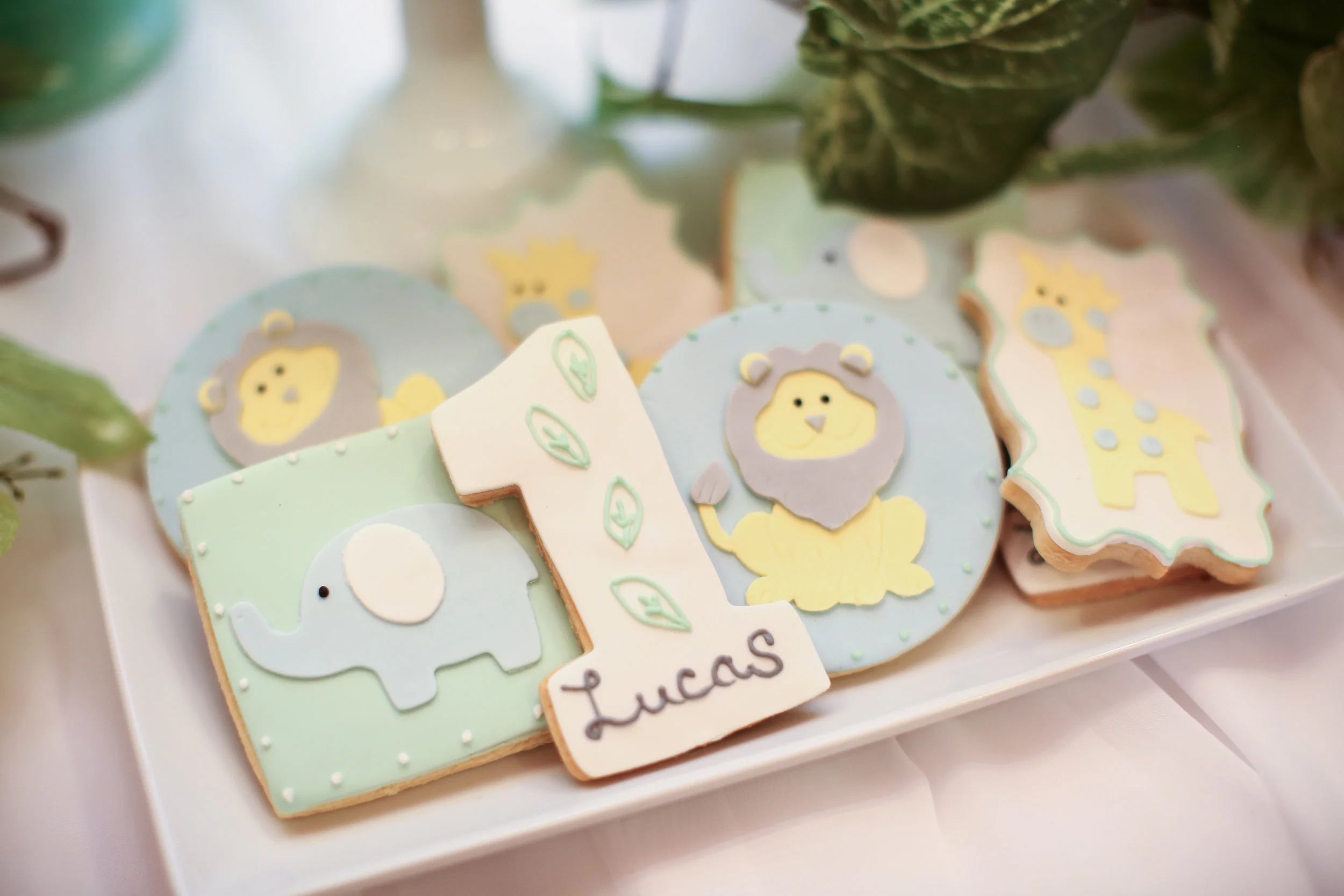 Lucas Hill's 1st Birthday(8.6.2016)-73.jpg