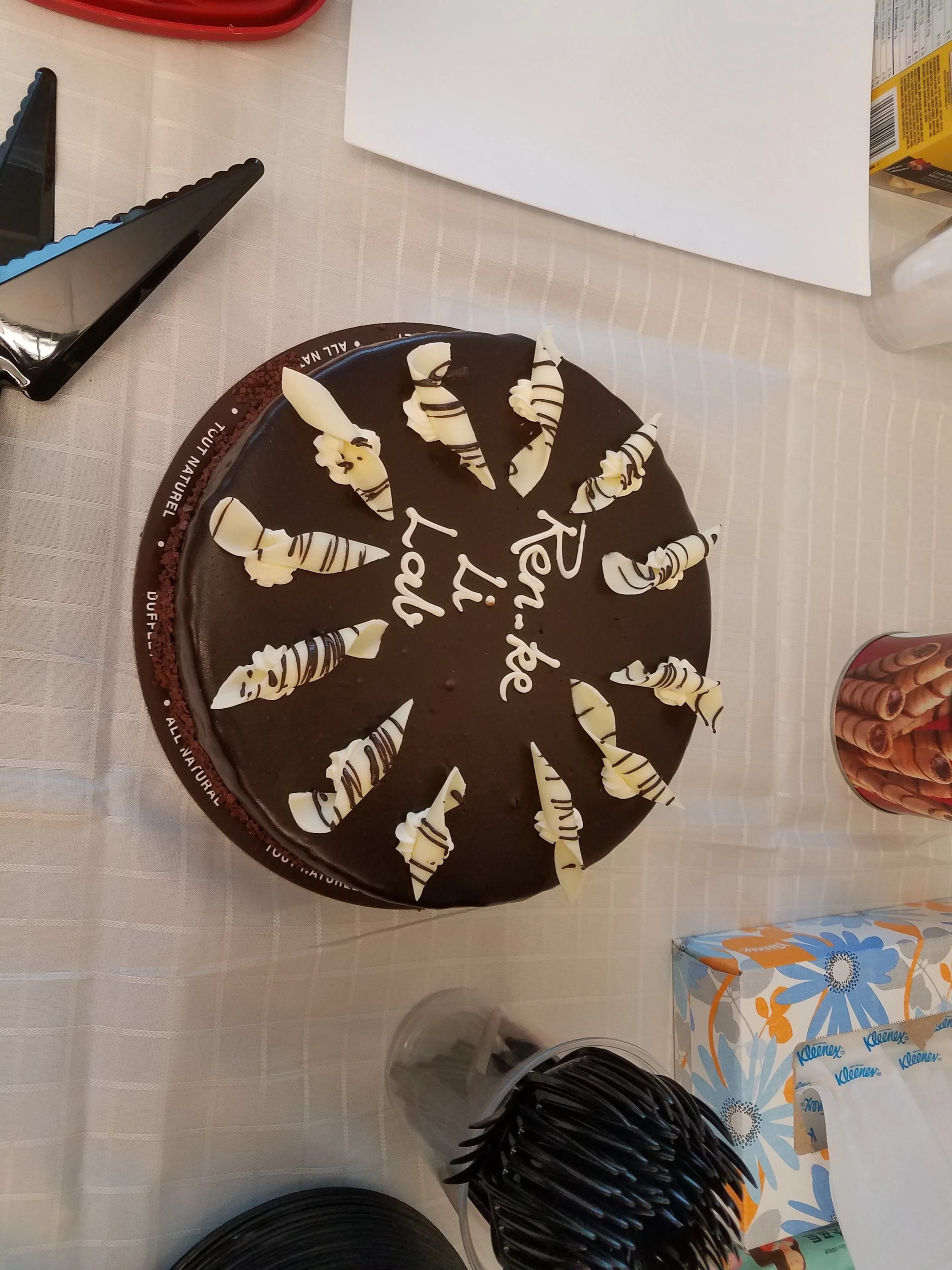 A very sweet Christmas Cake. December 14th 2018.