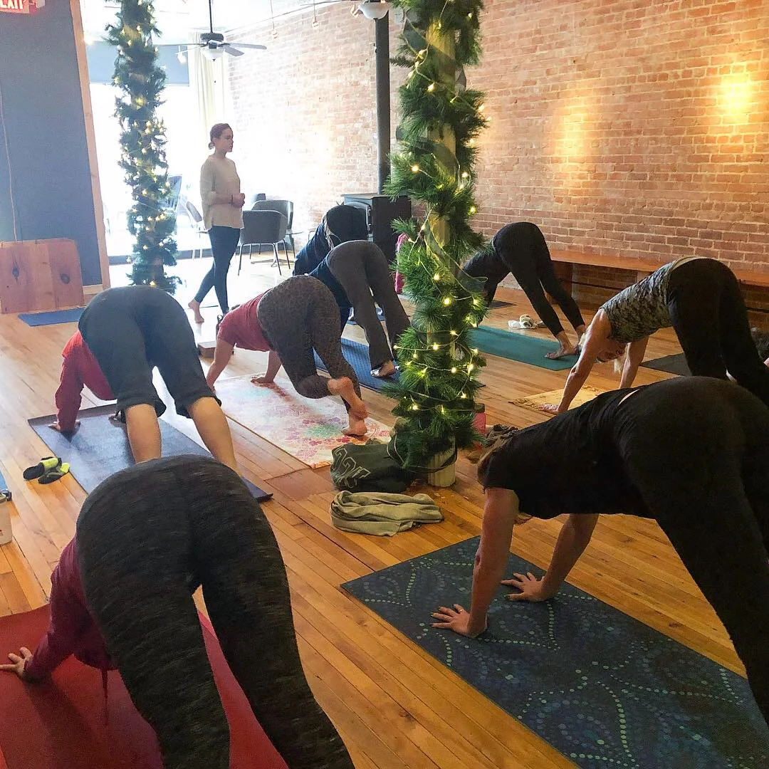 Back to Basics: Yoga with Haley