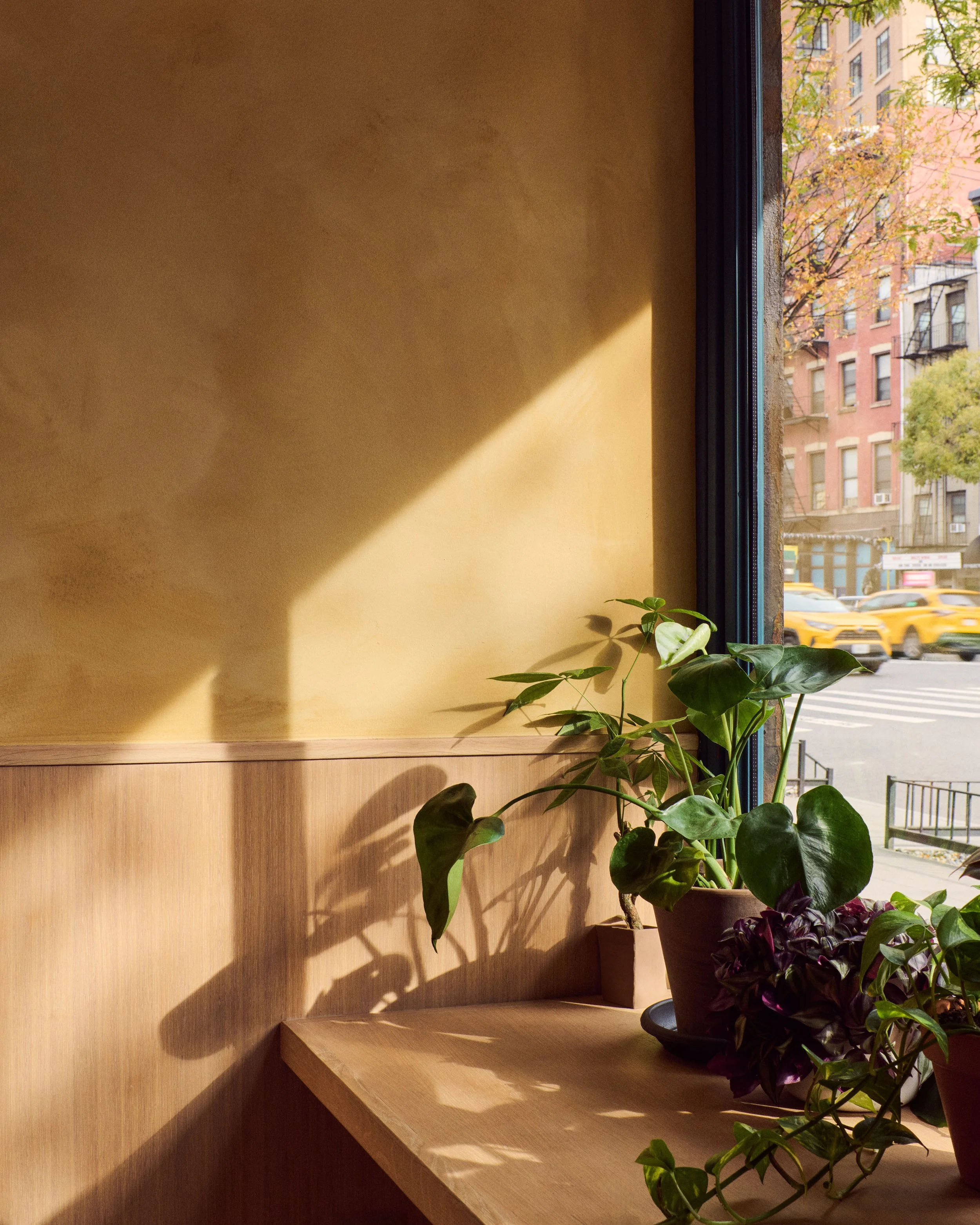 251107-murrayhall-studiofauve-shifka-002 (1).jpg