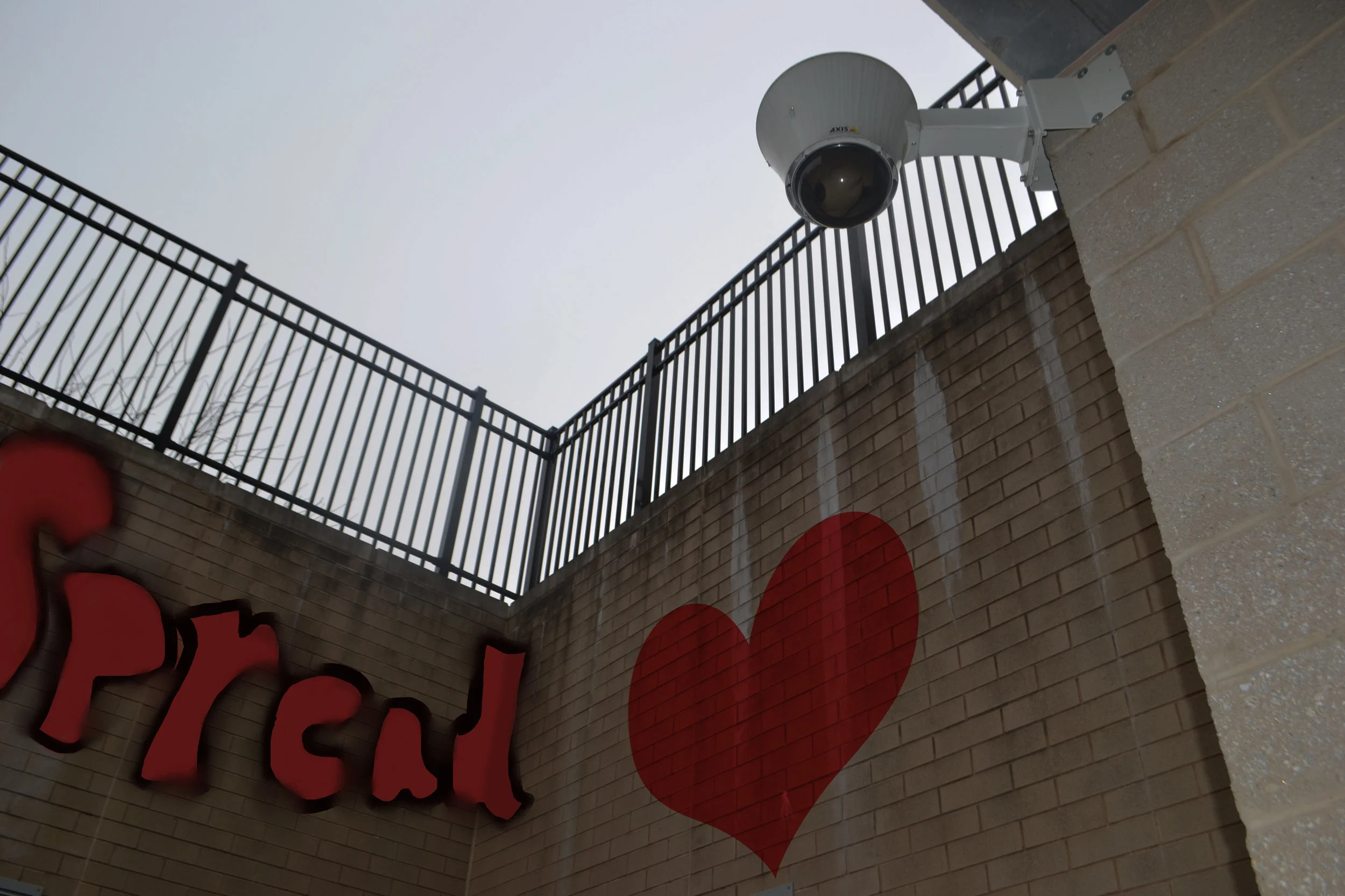 DSC_0001 copy copy.jpg