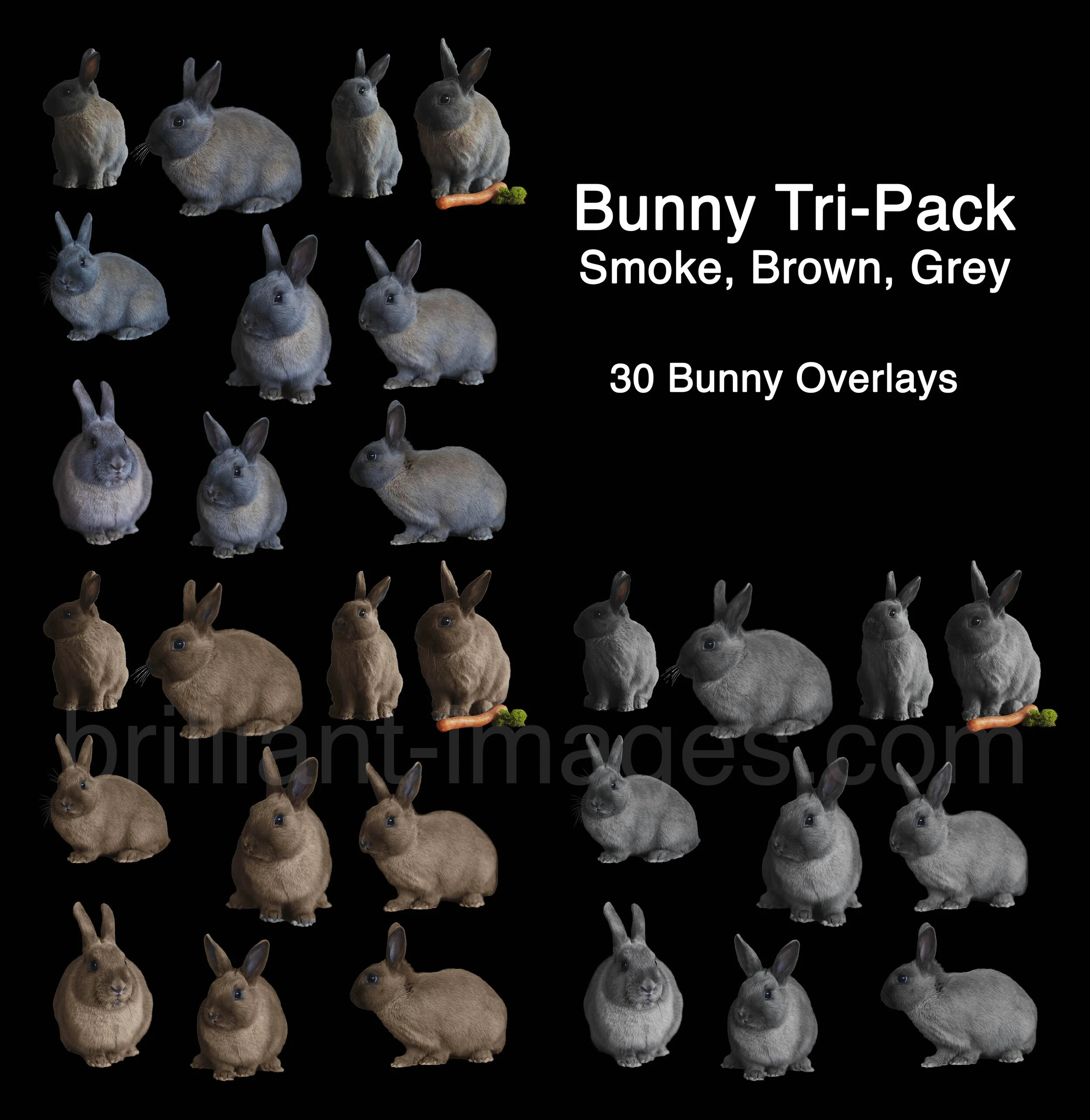 Bunny Overlay Tri-pack