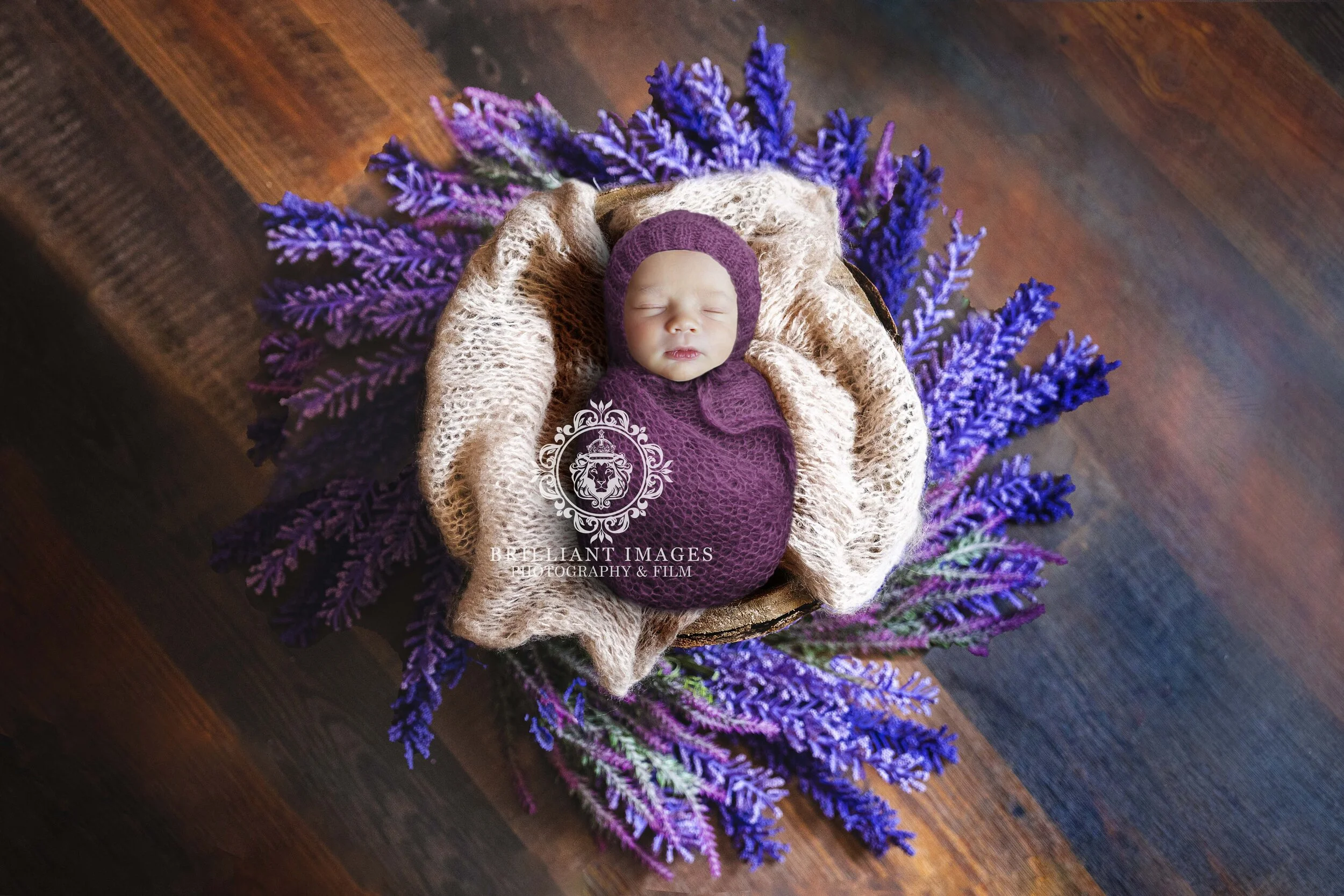 Newborn Digital Backdrop - Purple Wreath