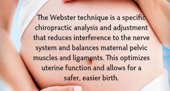 webster-638x345.jpg